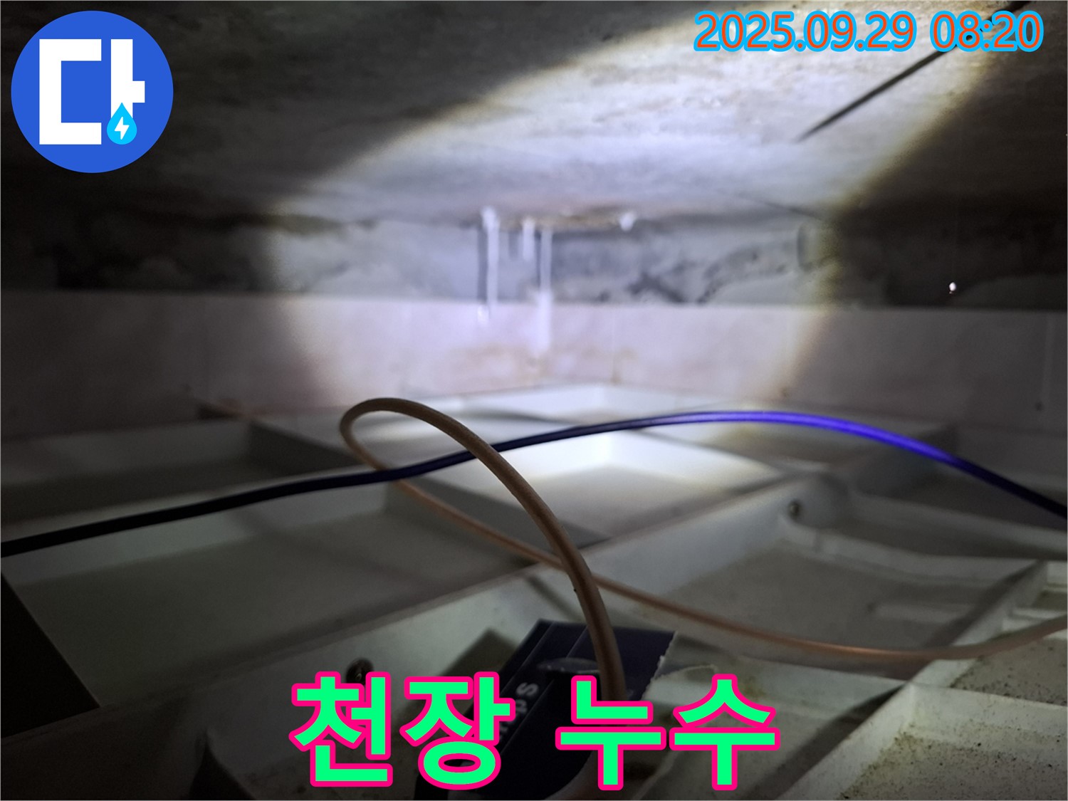 홍은동 빌라 천장 누수 - 천장에서 물이 떨어지는 모습