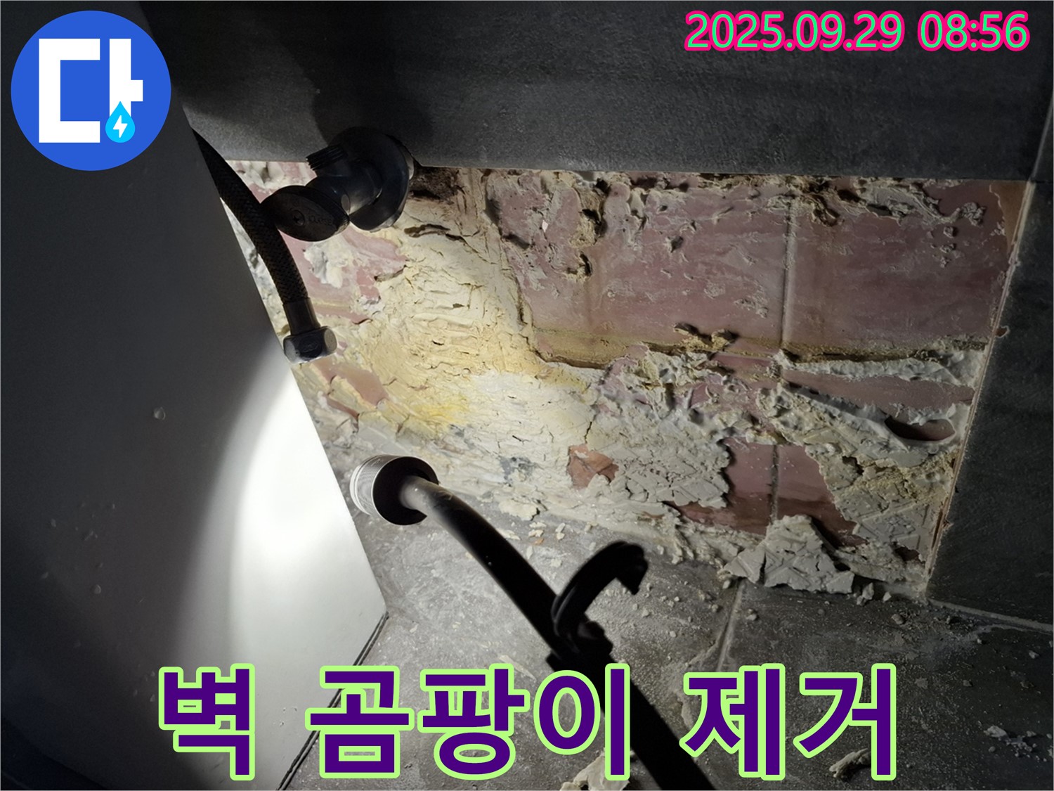 홍은빌라 벽 곰팡이 제거 - 깨끗하고 건강하게