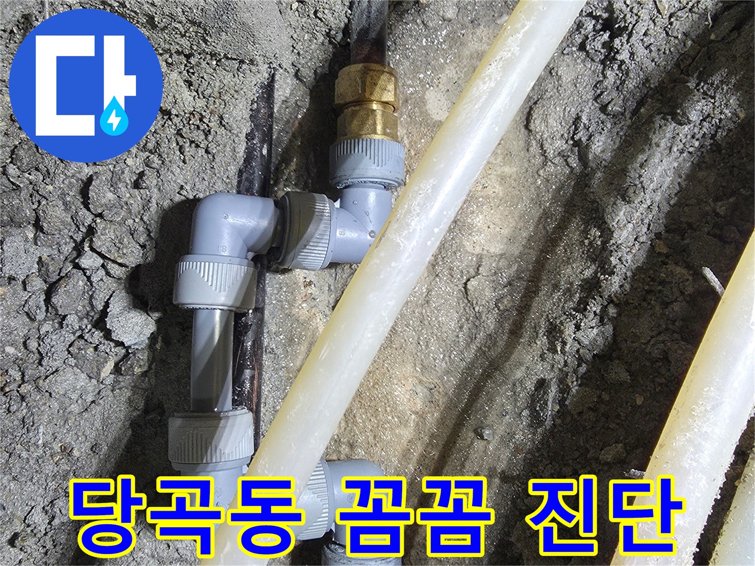 꼼꼼한 누수 진단 - 당곡동 누수