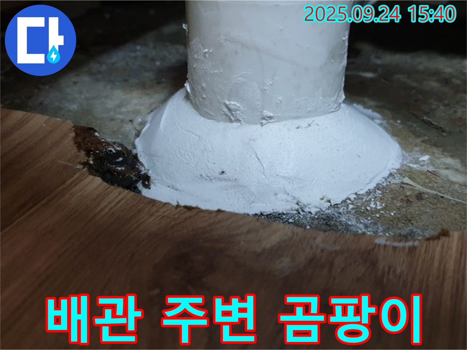 월계3동 누수 - 배관 주변 곰팡이 발생 - 누수 의심