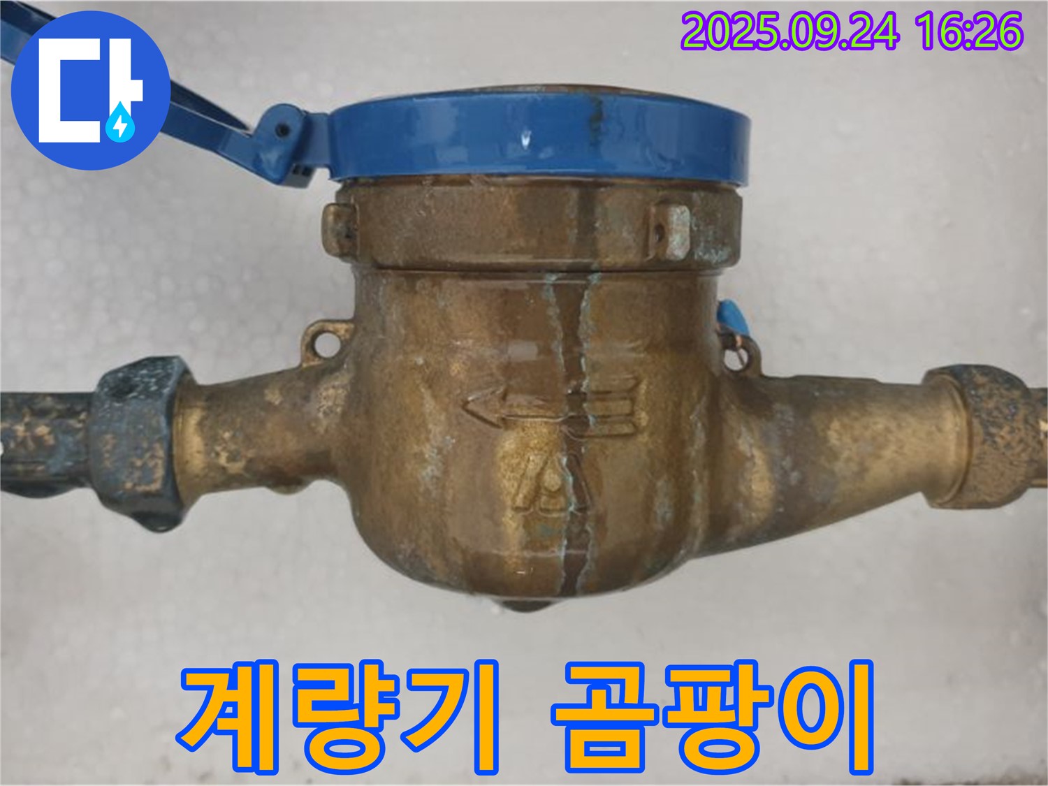 노원구 공릉동 수도 계량기 곰팡이 - 수도 계량기 주변에 곰팡이가 슨 모습입니다.