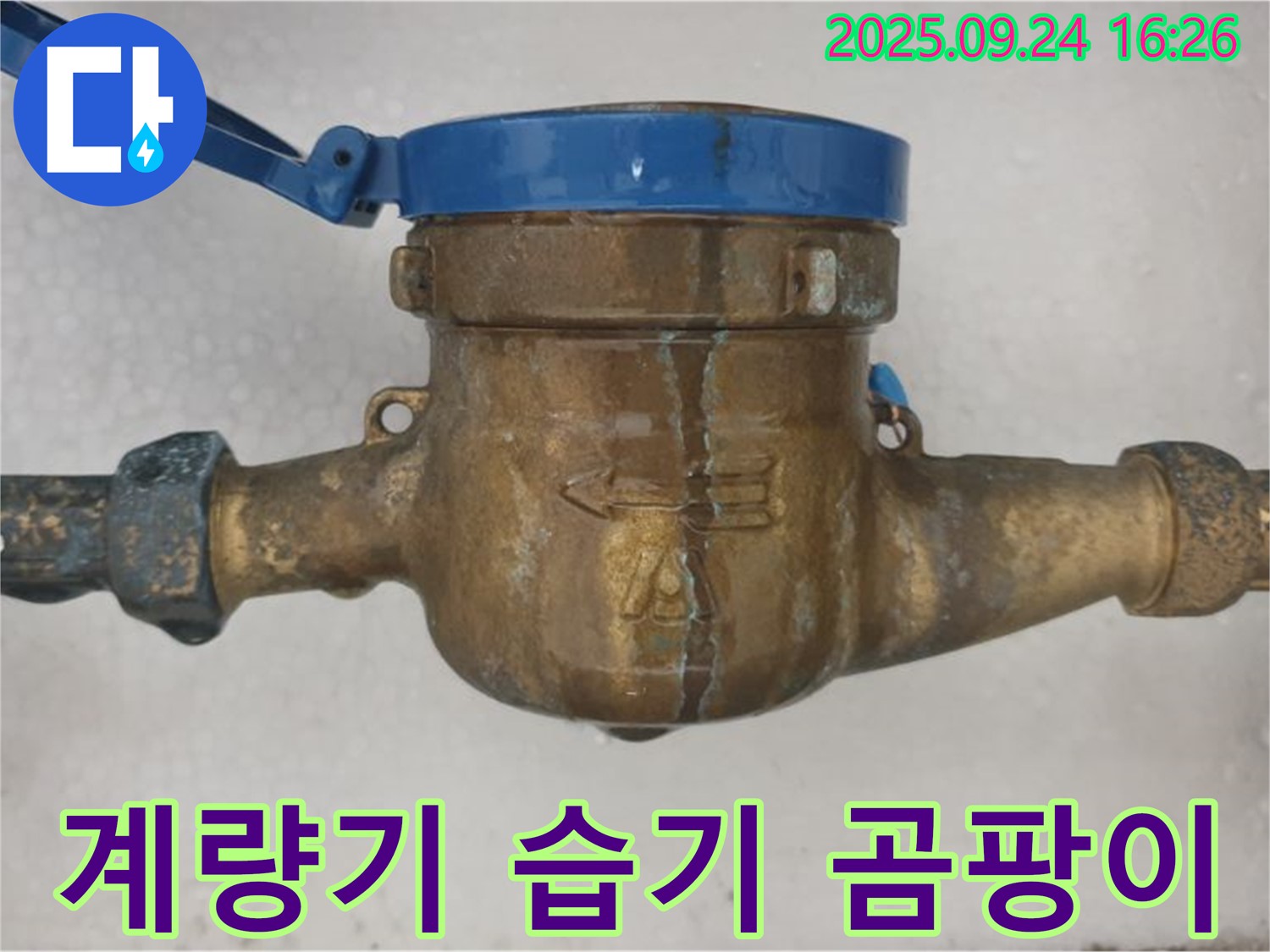 노원구 공릉동 수도 계량기 습기 곰팡이 - 습기와 곰팡이가 핀 수도 계량기 이미지입니다.