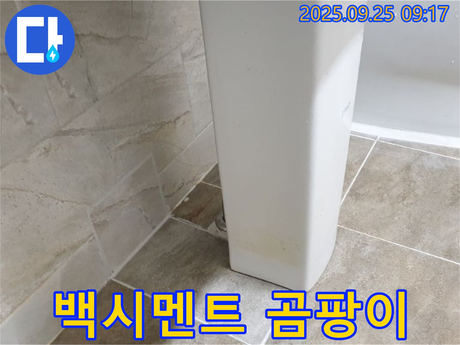 세면대 하부 백시멘트 곰팡이 제거 - 기산리 세면대 누수, 곰팡이 제거 및 재시공으로 깨끗하게 만드세요.