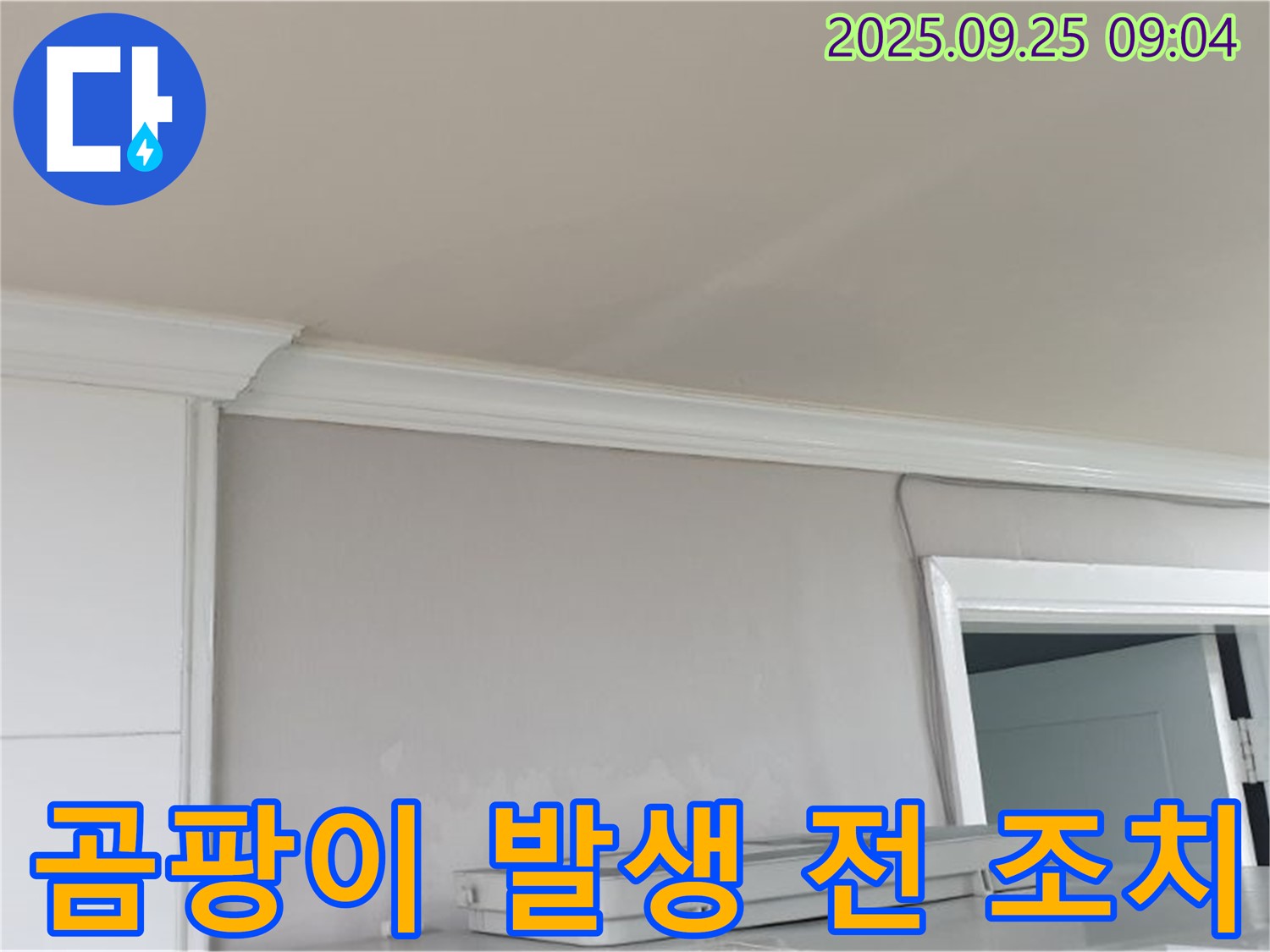 백석읍 연곡리 - 벽지 젖음으로 인한 곰팡이 발생 전 조치, 쾌적한 환경 유지.
