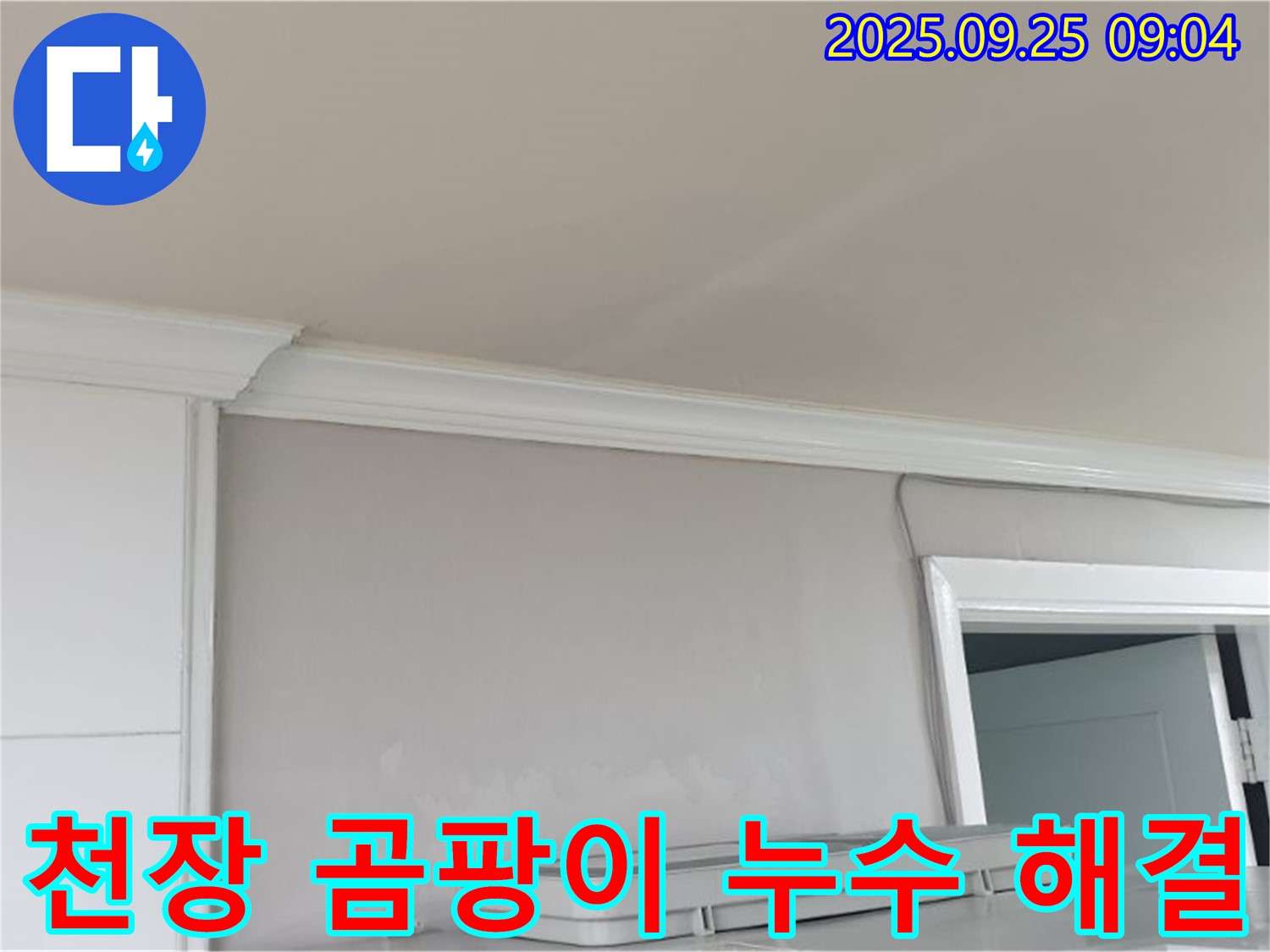 백석읍 연곡리 - 천장 곰팡이와 누수 문제 해결, 쾌적하고 건강한 공간으로 만들어 드립니다.