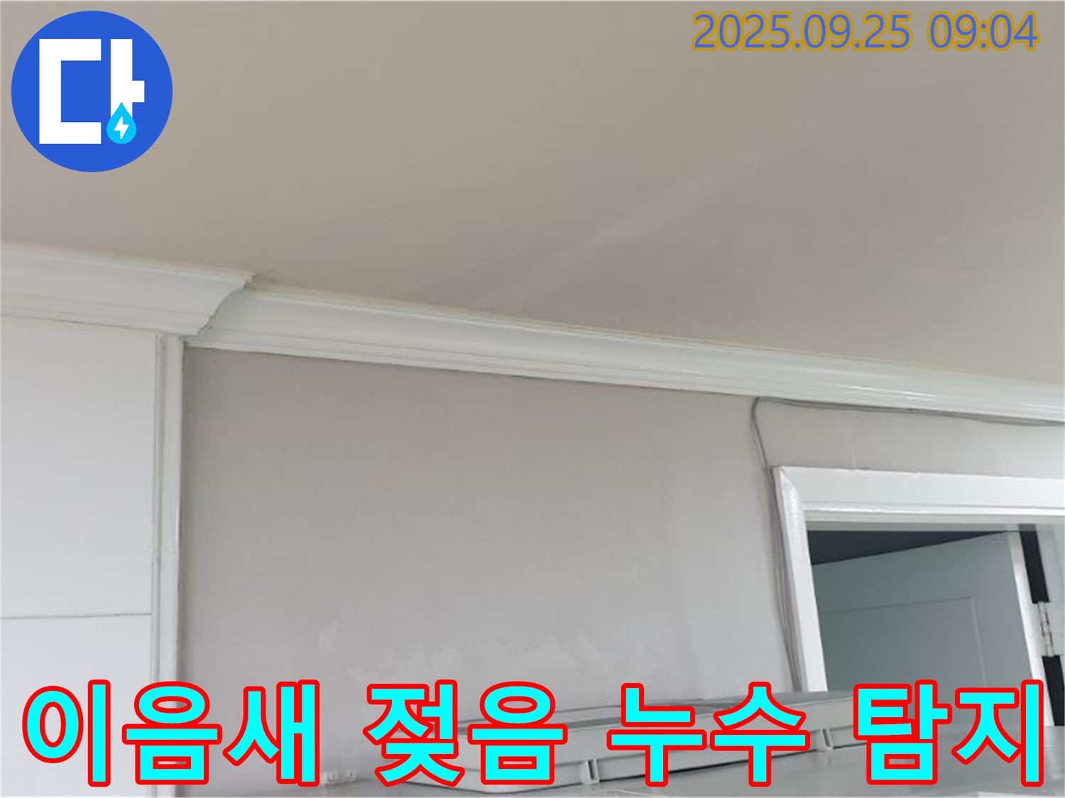 백석읍 연곡리 - 천장 이음새 젖음, 누수 탐지 전문 업체에서 정확하게 진단받으세요.