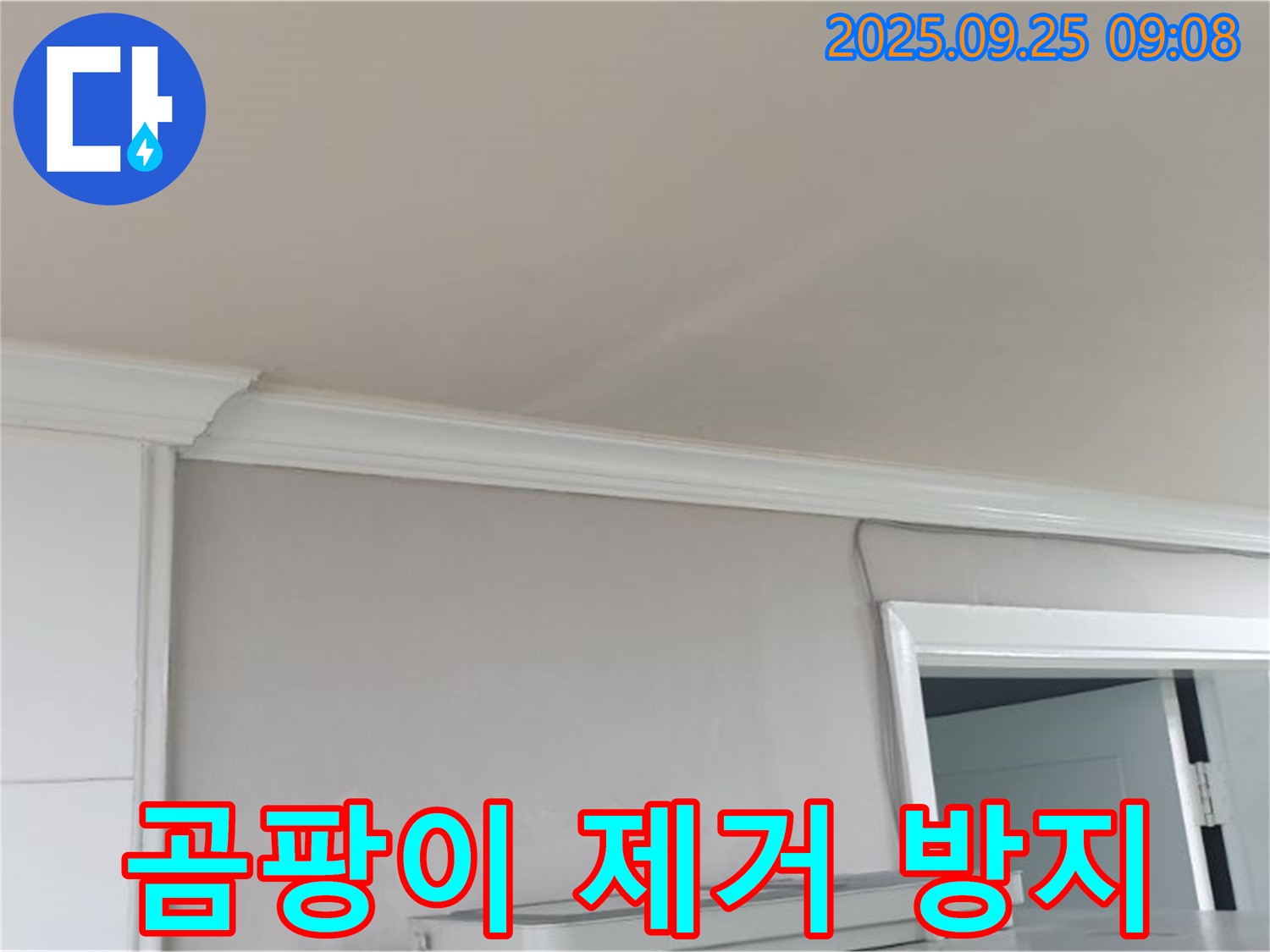 양주 연곡리 누수 - 천장 누수 해결 후 곰팡이 제거 및 방지 시공