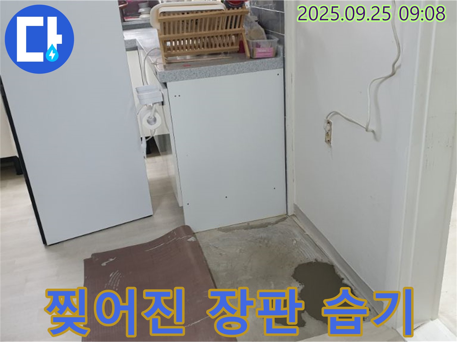 양주 연곡리 누수 현장 - 찢어진 장판 속에서 습기가 발견되었습니다. 누수가 의심됩니다.