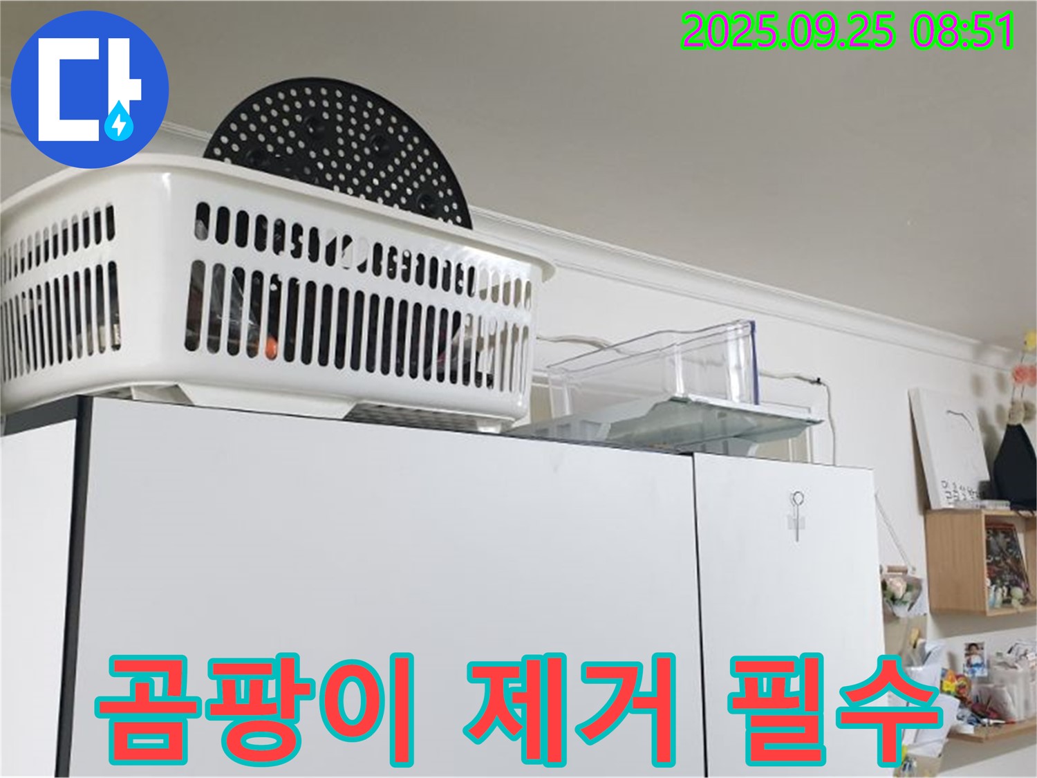 양주시 냉장고 위 누수 - 누수 해결 후, 곰팡이 제거는 필수입니다!