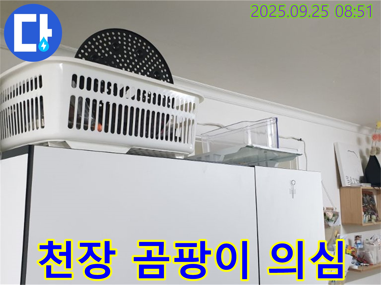 양주시 냉장고 위 누수 - 천장 얼룩, 혹시 곰팡이? 건강까지 위협한다면 서두르세요!