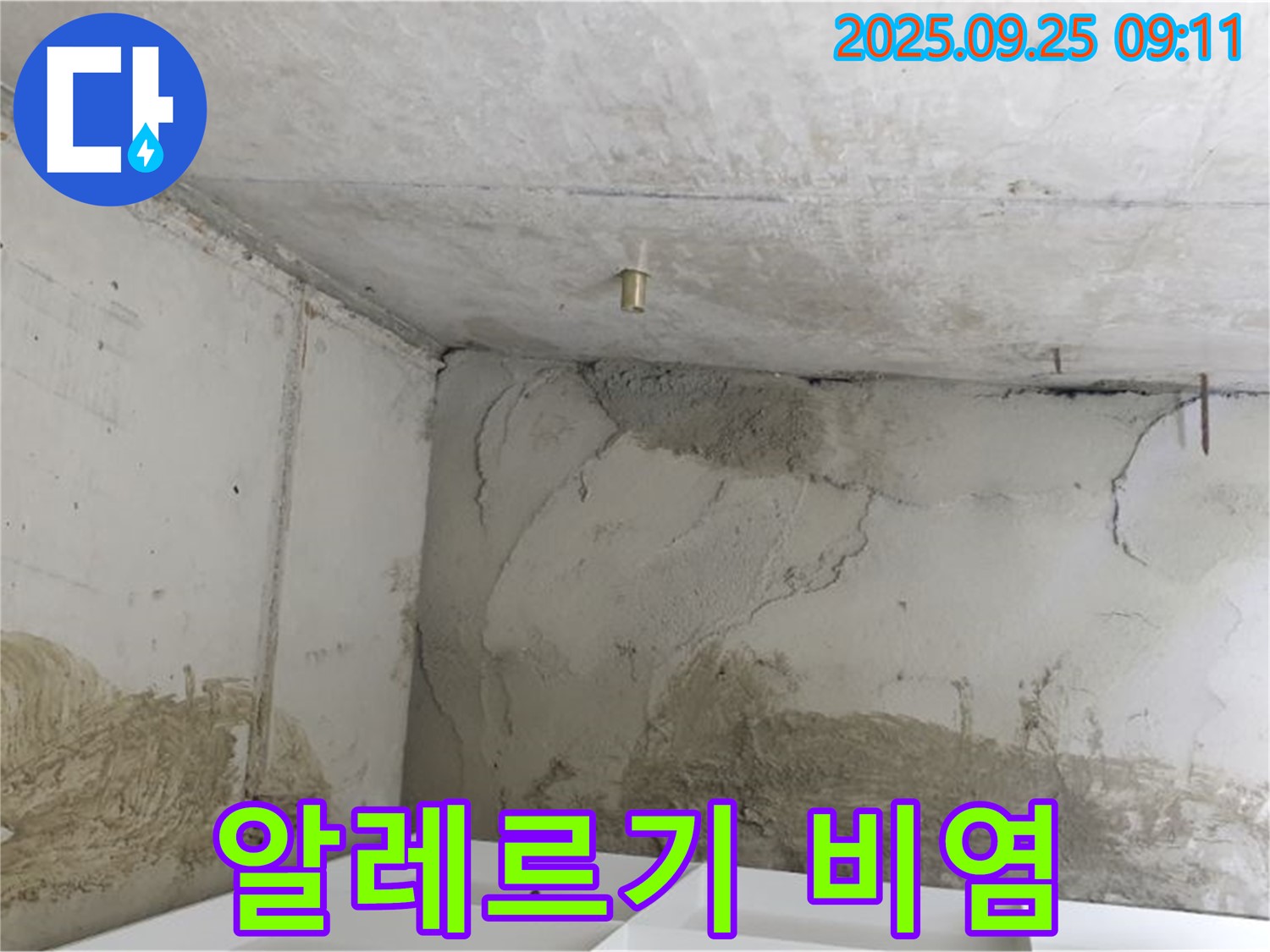양주시 백석읍 누수 - 곰팡이 알레르기 비염 유발, 쾌적한 집 만들기