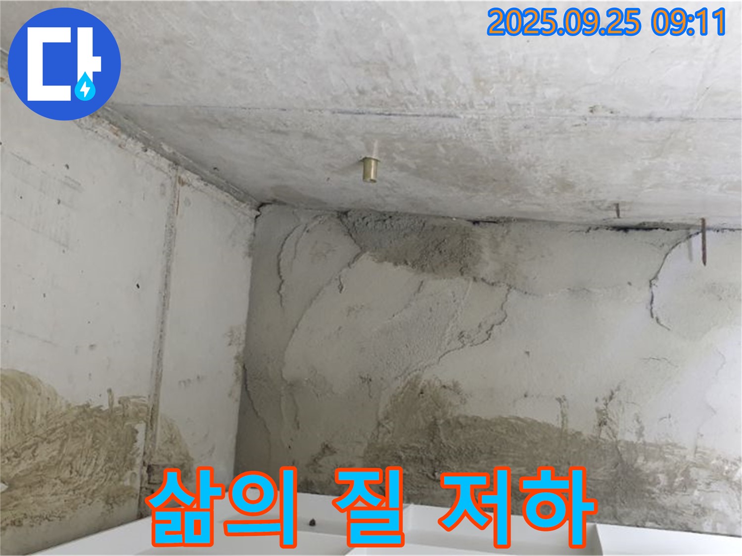 양주시 백석읍 연곡리 누수 - 곰팡이 냄새 - 삶의 질 저하