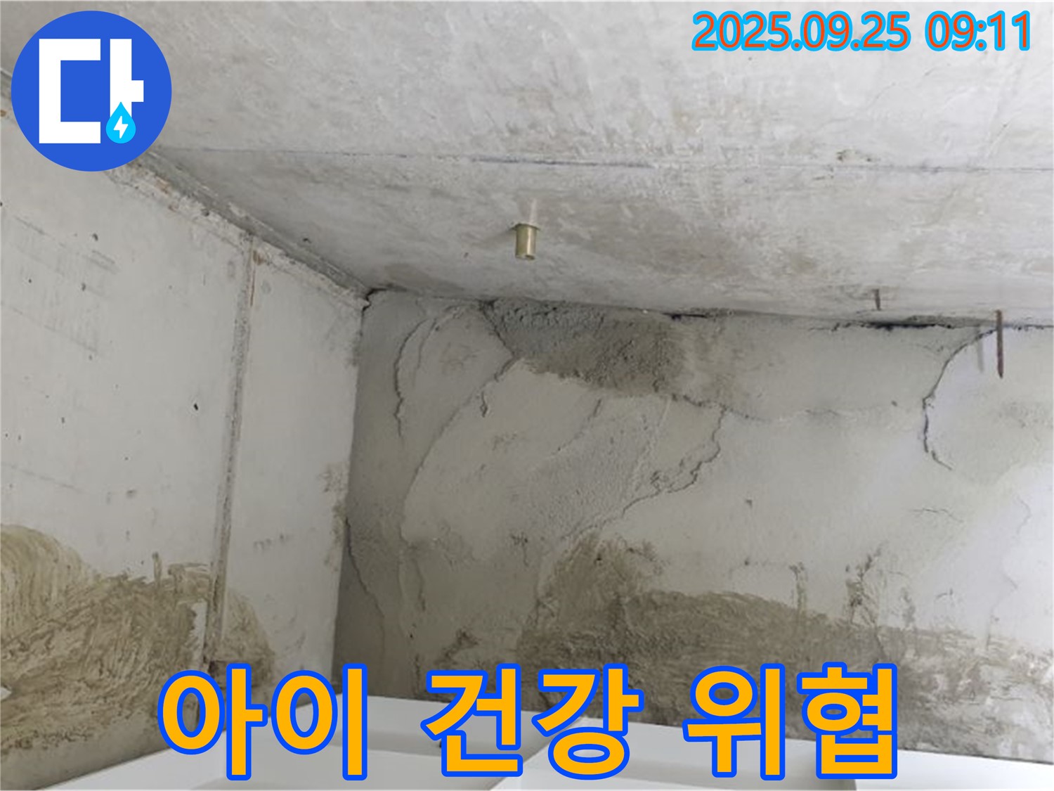 양주시 백석읍 연곡리 누수 - 곰팡이 냄새, 아이 건강 위협, 긴급 점검