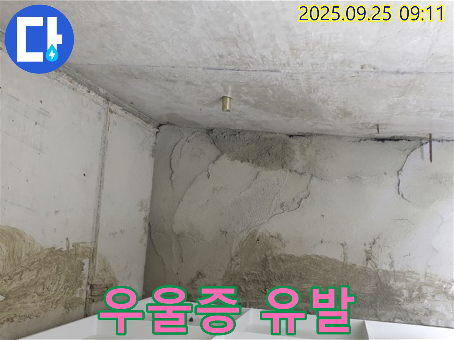 양주시 백석읍 연곡리 누수 - 곰팡이, 우울증 유발, 심리적 안정 되찾기