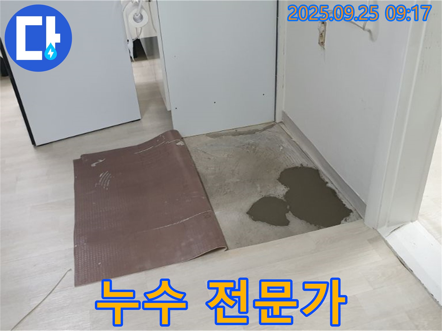 양주시 백석읍 연곡리 누수 - 누수 전문가의 꼼꼼한 작업