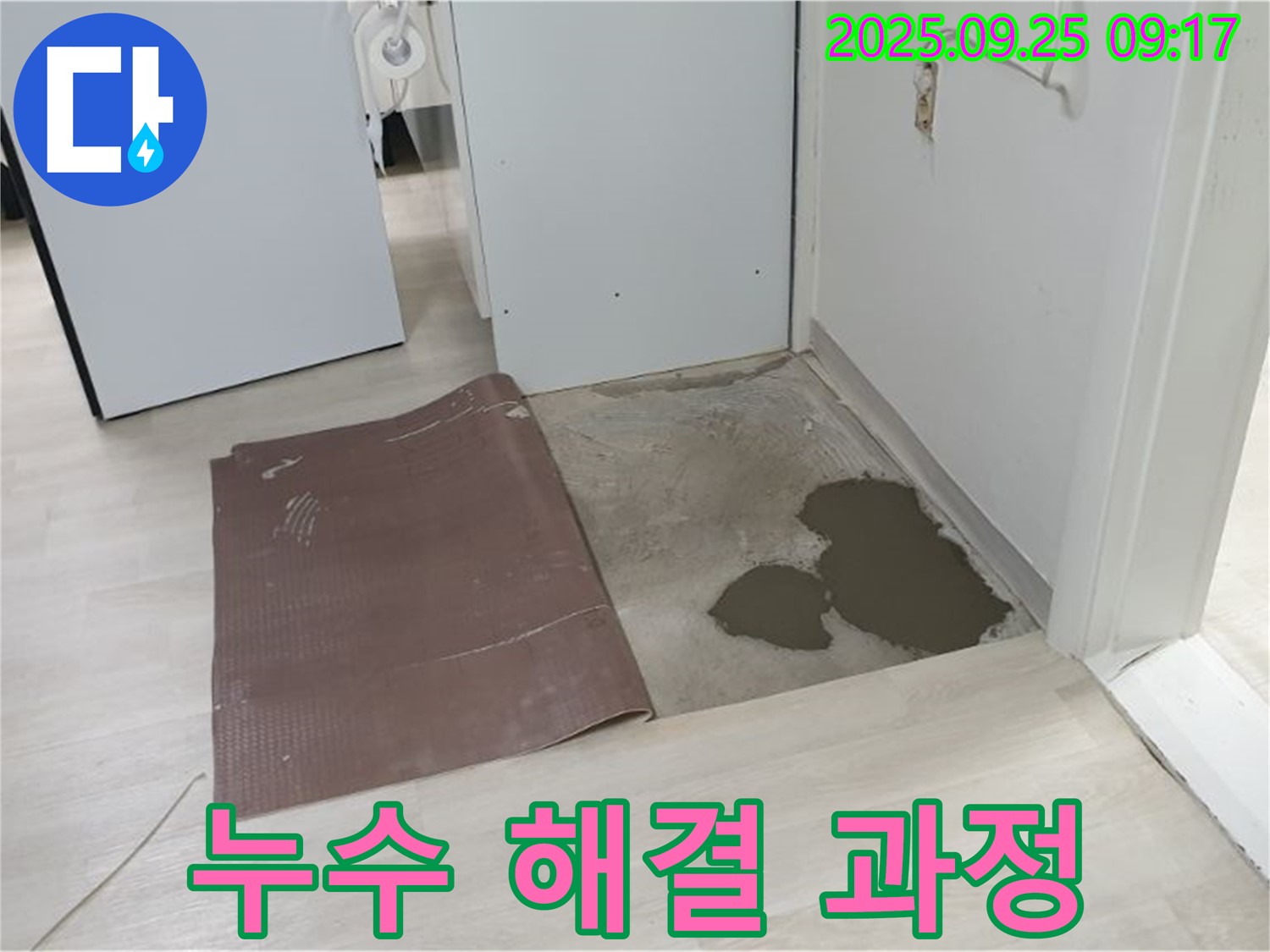 양주시 백석읍 연곡리 누수 - 누수 해결 과정 상세 촬영