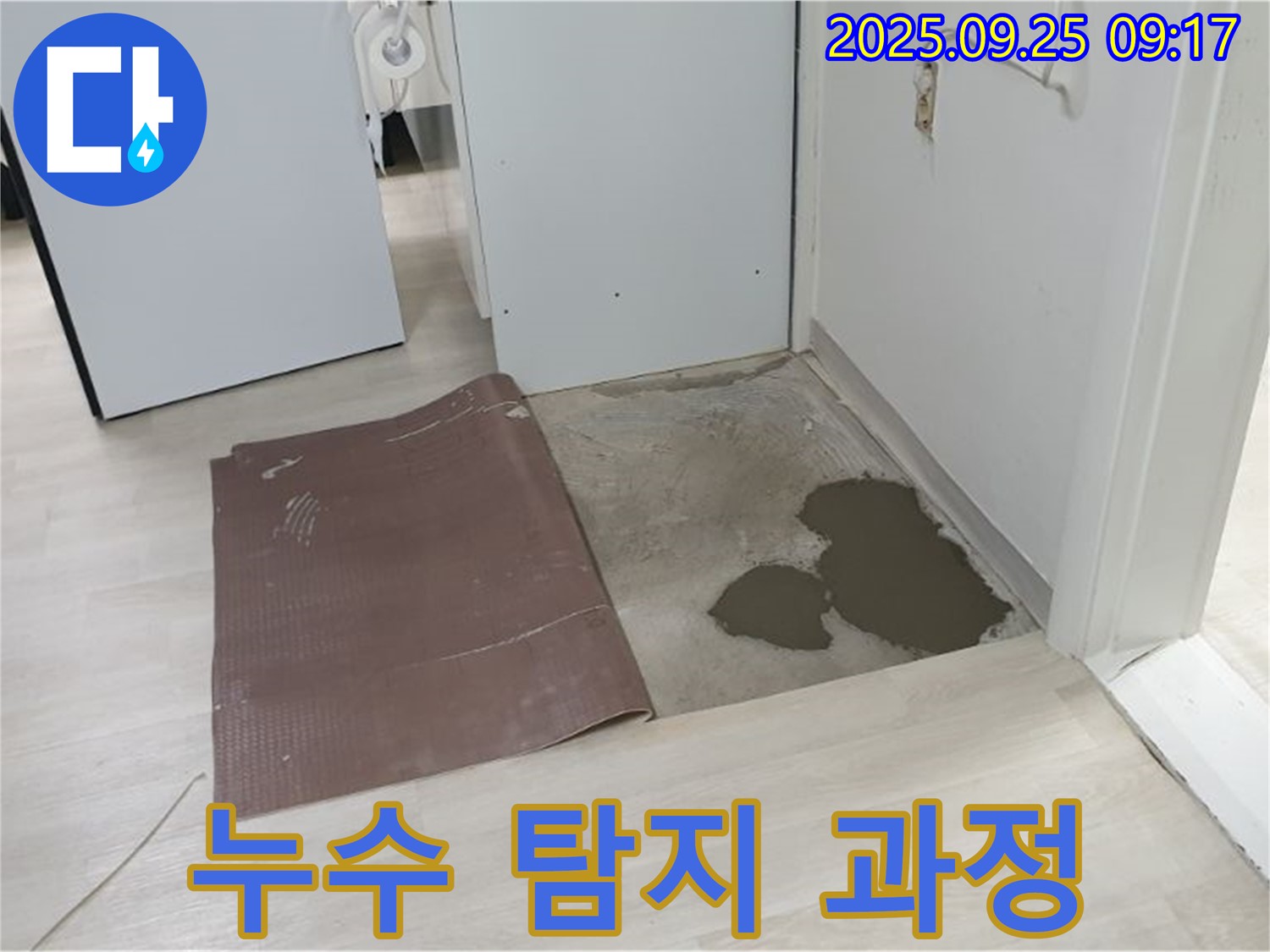 양주시 백석읍 연곡리 누수 - 장판 밑 누수 탐지 과정 상세 공개