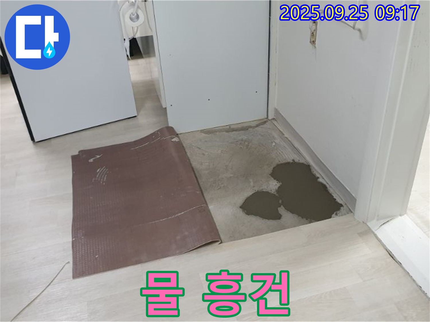 양주시 백석읍 연곡리 누수 - 장판 밑 물이 흥건한 상태