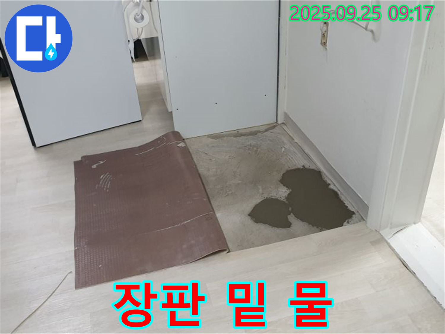 양주시 백석읍 연곡리 누수 - 장판 아래 물 고임 - 긴급 점검 필요