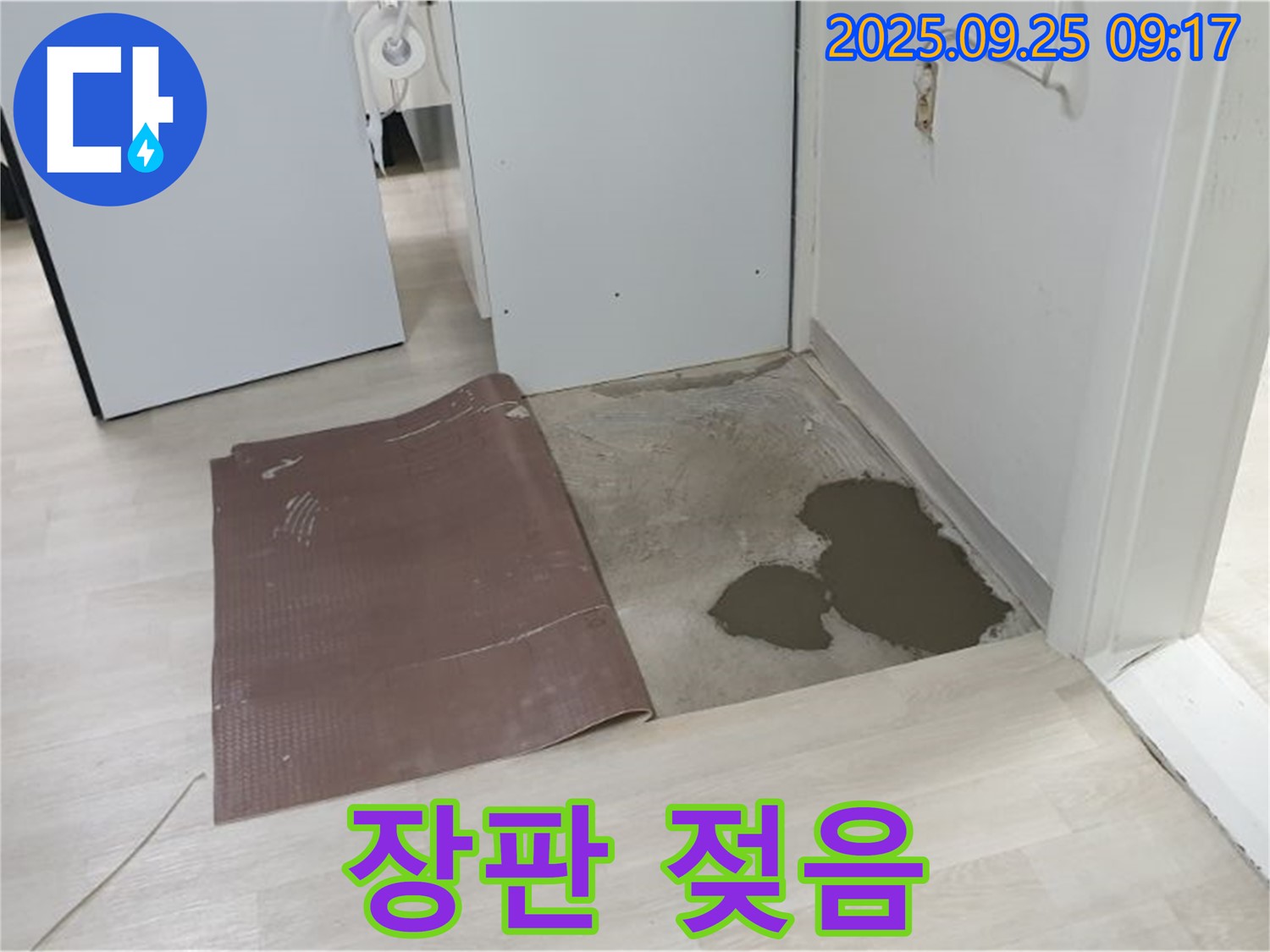 양주시 백석읍 연곡리 누수 - 장판 젖음 - 누수 초기 증상 의심