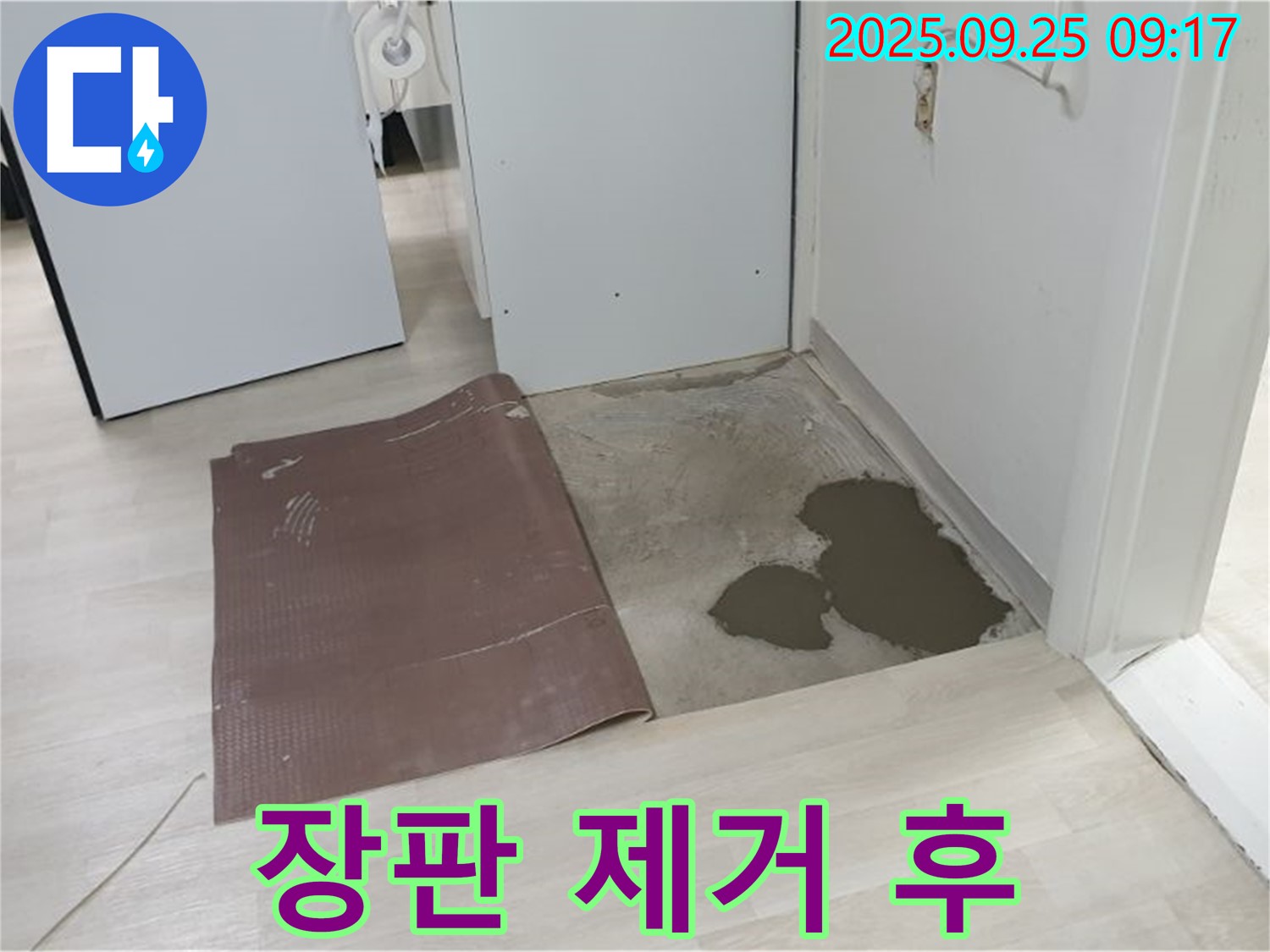 양주시 백석읍 연곡리 누수 - 장판 제거 후 누수 지점 확인 완료