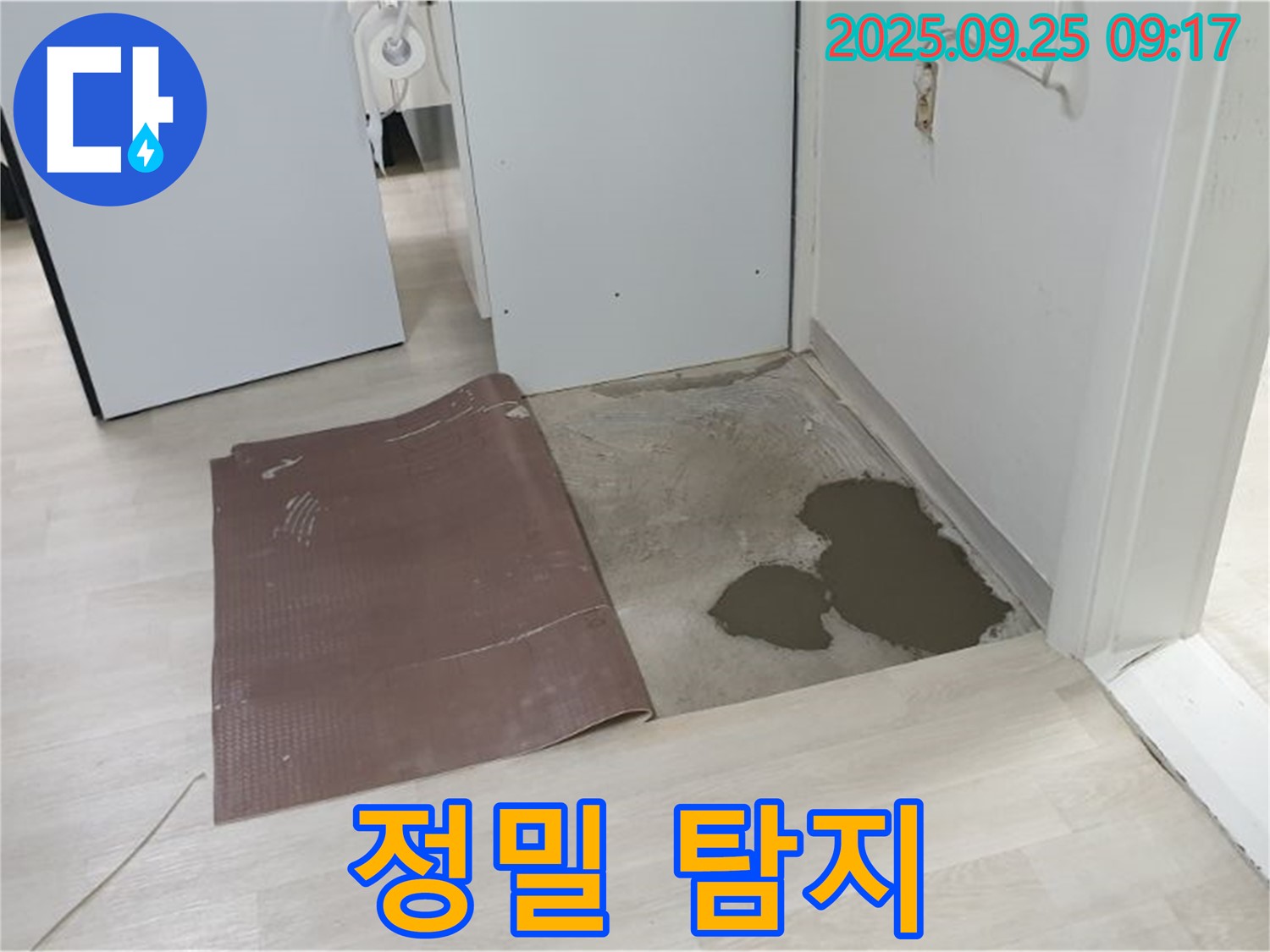 양주시 백석읍 연곡리 누수 - 정밀 누수 탐지 장비 사용 중
