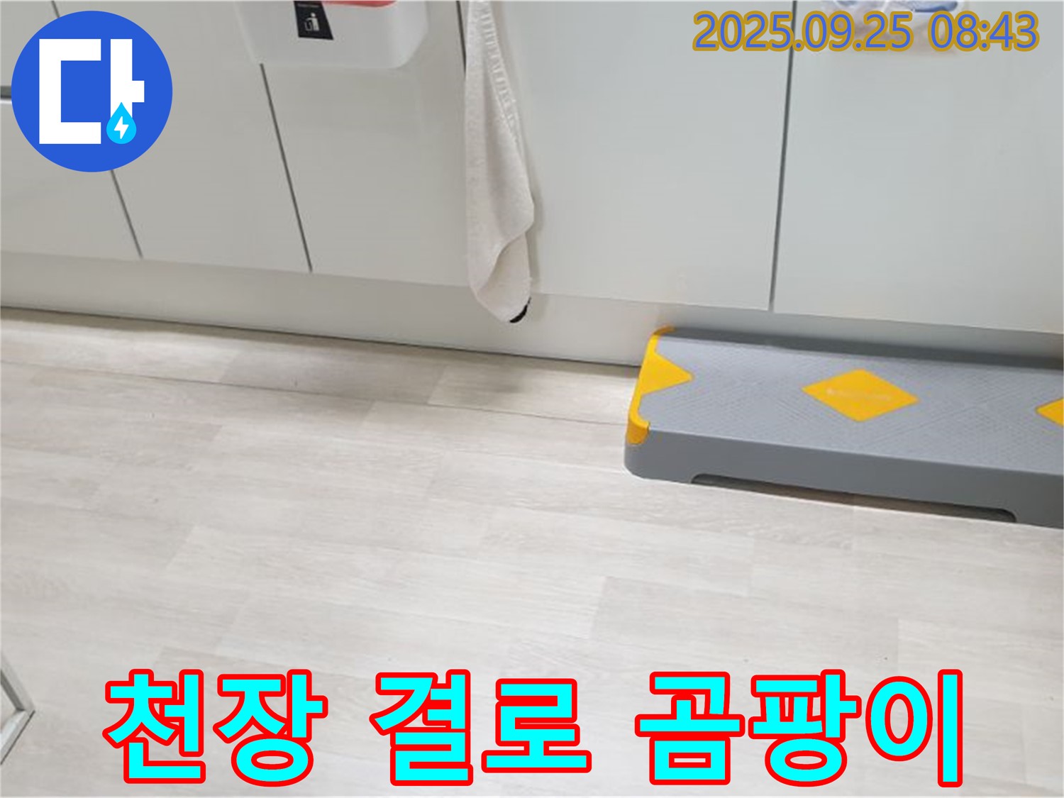 양주시 백석읍 연곡리 베란다 천장 결로 - 결로 현상으로 인한 곰팡이 문제를 제거하고 쾌적한 베란다를 만드세요.