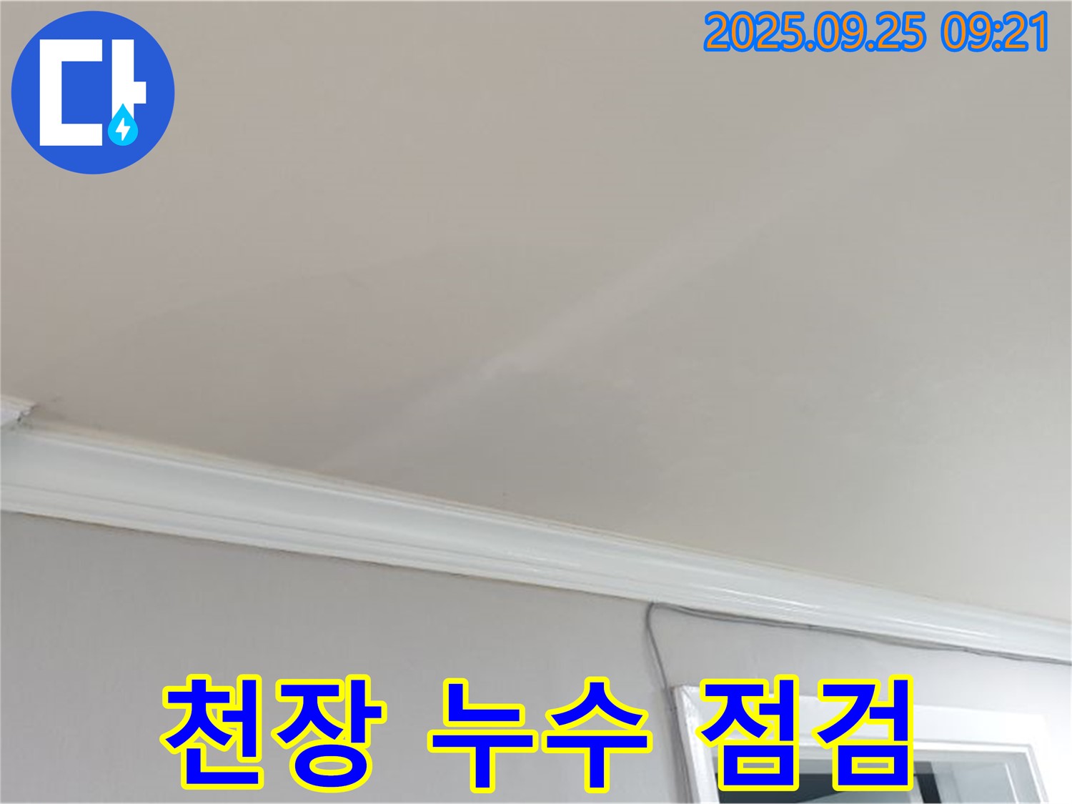 양주시 백석읍 연곡리 빌라 천장 누수 점검 - 누수 전문가의 꼼꼼한 점검과 완벽한 해결.