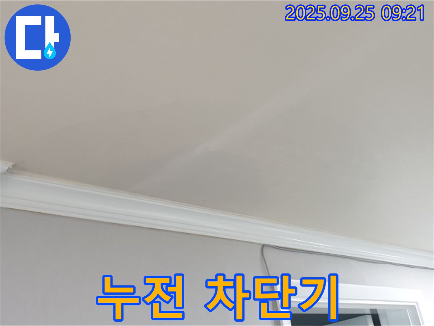 양주시 백석읍 연곡리 - 천장 누수로 누전 차단기가 작동했다면 즉시 전문가에게 문의하세요.