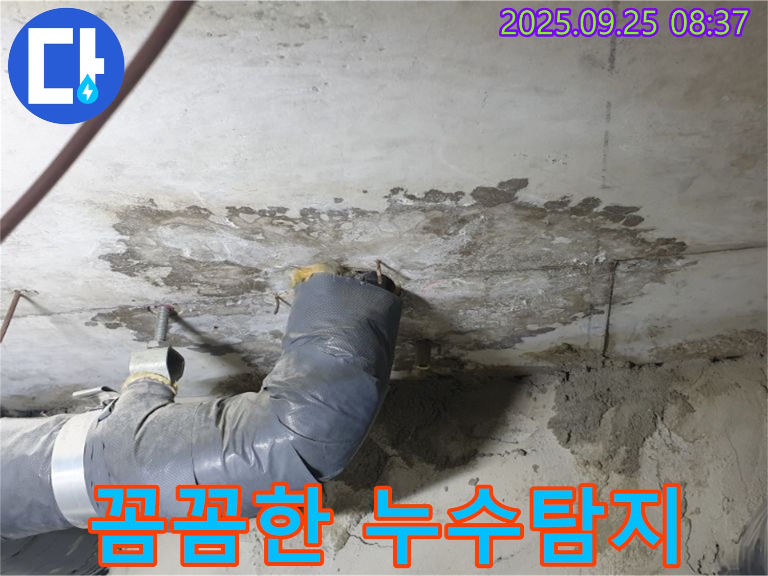 연곡리 누수 - 꼼꼼한 누수탐지를 통한 완벽 해결
