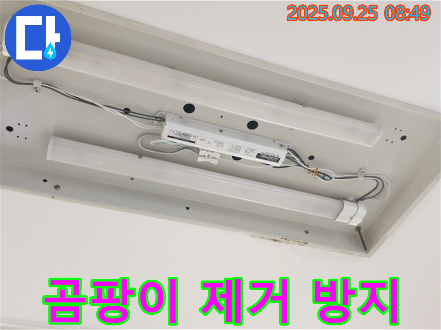 양주시 백석읍 누수 - 형광등 주변 곰팡이 제거 및 누수 재발 방지 시공