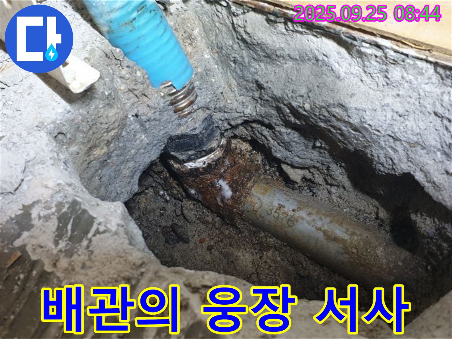 양주시 홍죽리에서 낡은 배관의 침묵 - 누수 해결의 웅장한 서사시를 시작합니다.