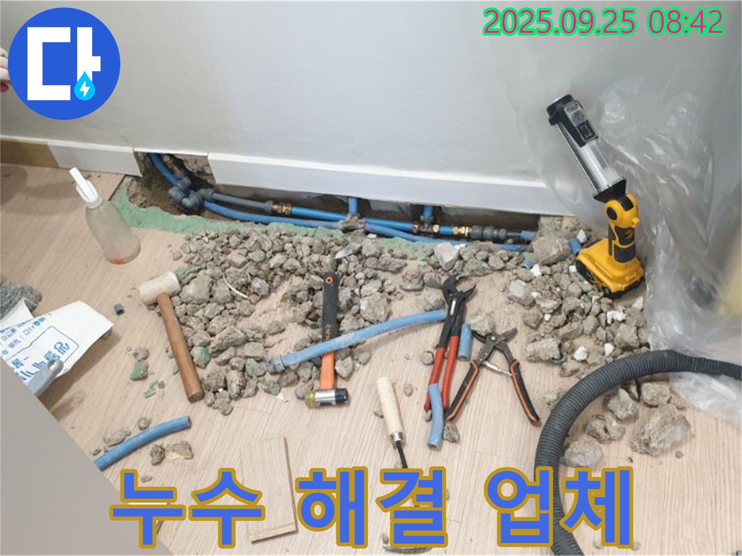 양주시 백석 누수 해결 현장 - 누수 탐지부터 완벽한 해결까지 책임지는 누수 전문 업체