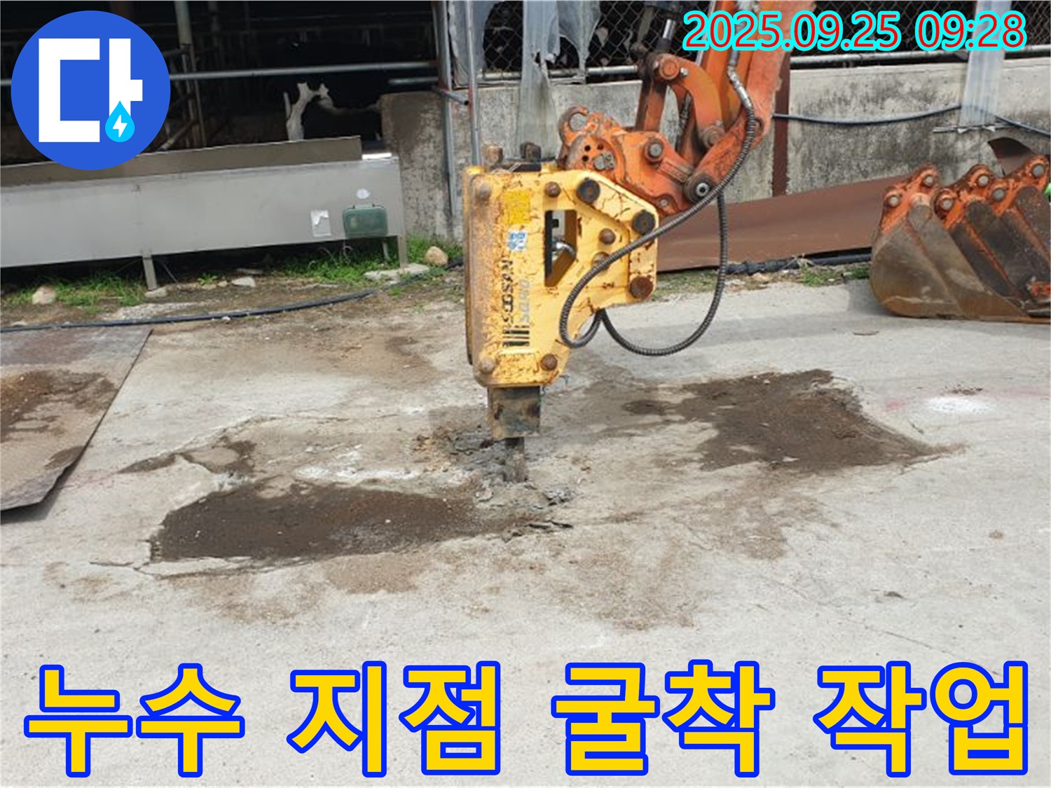양주 누수 - 백석읍 누수 지점 굴착 작업, 신속하고 정확한 공사로 문제 해결