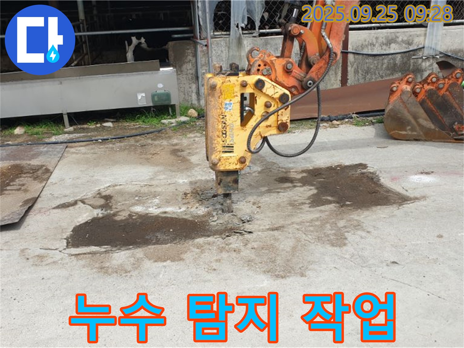 양주 누수 - 백석읍 누수 탐지 작업, 정확한 위치 파악