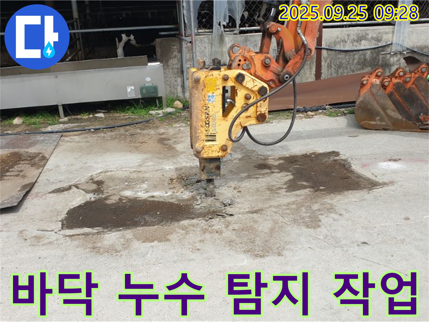 양주 누수 - 백석읍 바닥 누수 탐지 작업, 정확한 위치 파악을 위한 섬세한 작업 과정