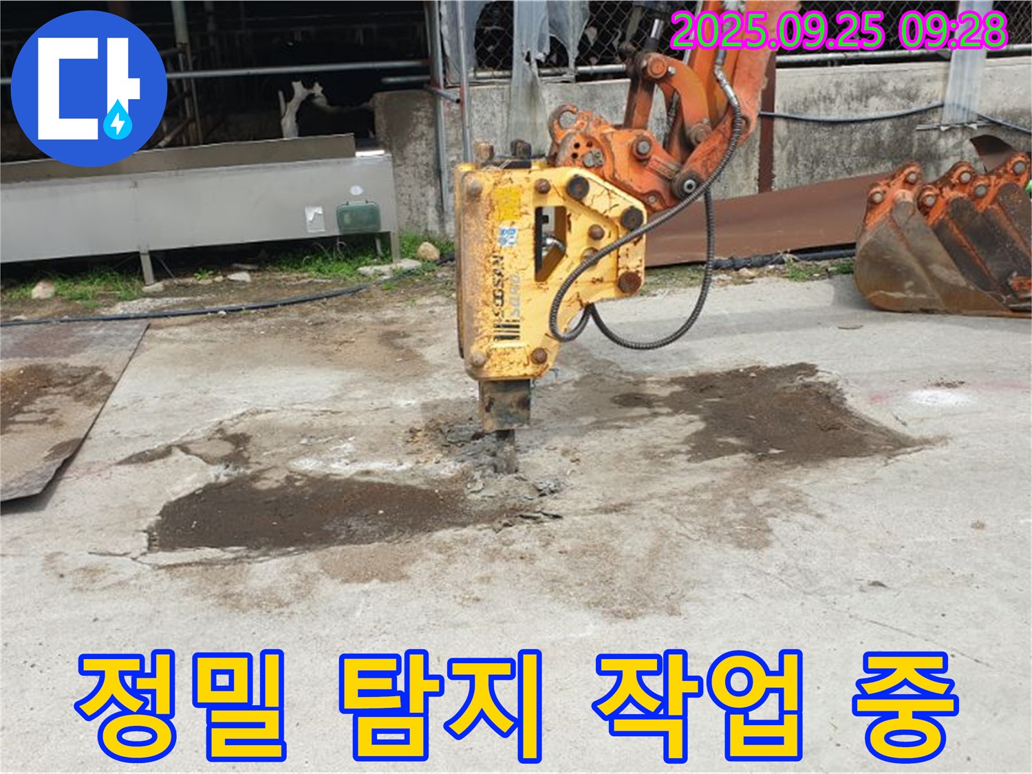 양주 누수 - 백석읍 정밀 탐지 작업 중, 숨겨진 누수까지 완벽하게
