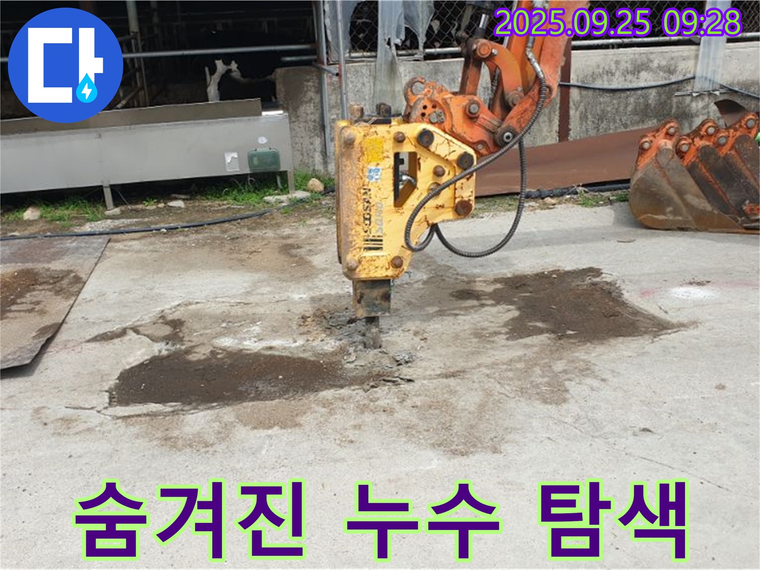 양주 백석읍 복지리 누수 - 굴착 작업, 숨겨진 누수 지점 찾기
