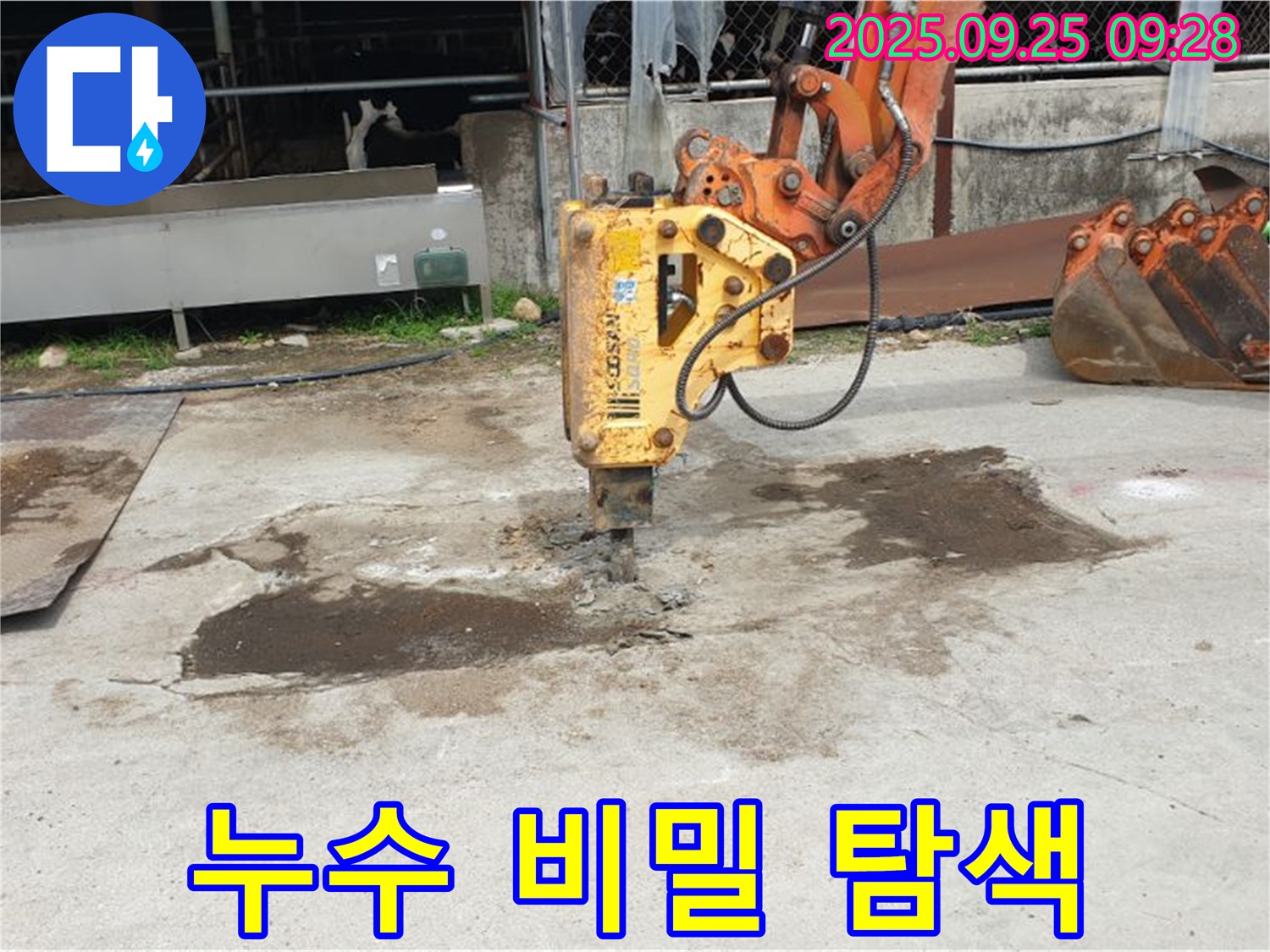 양주 백석읍 복지리 누수 - 콘크리트 파쇄, 숨겨진 누수의 비밀 파헤치기