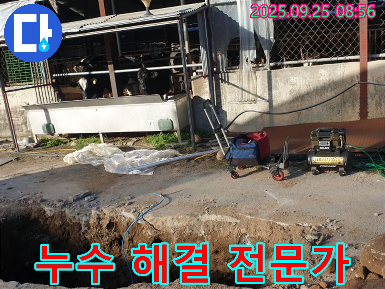 양주시 백석리 축사 누수 - 누수 해결은 전문가에게 맡기세요