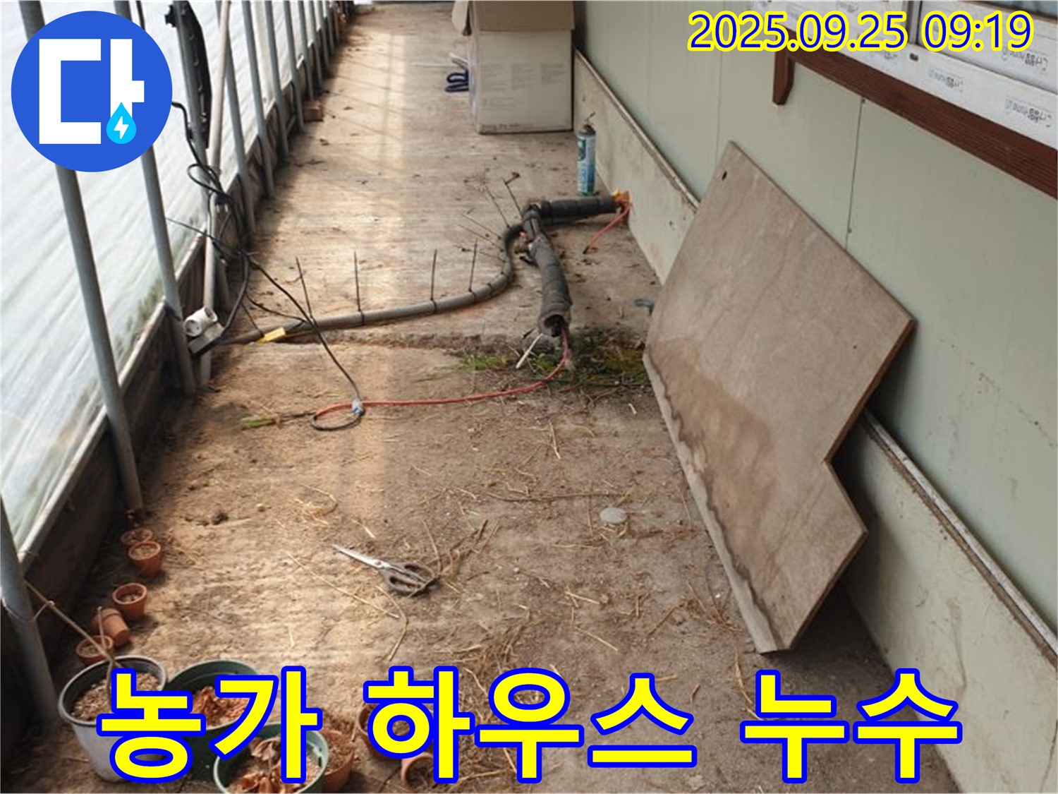 양주시 백석읍 복지리 - 농가 하우스 누수, 작물 피해 최소화 작업