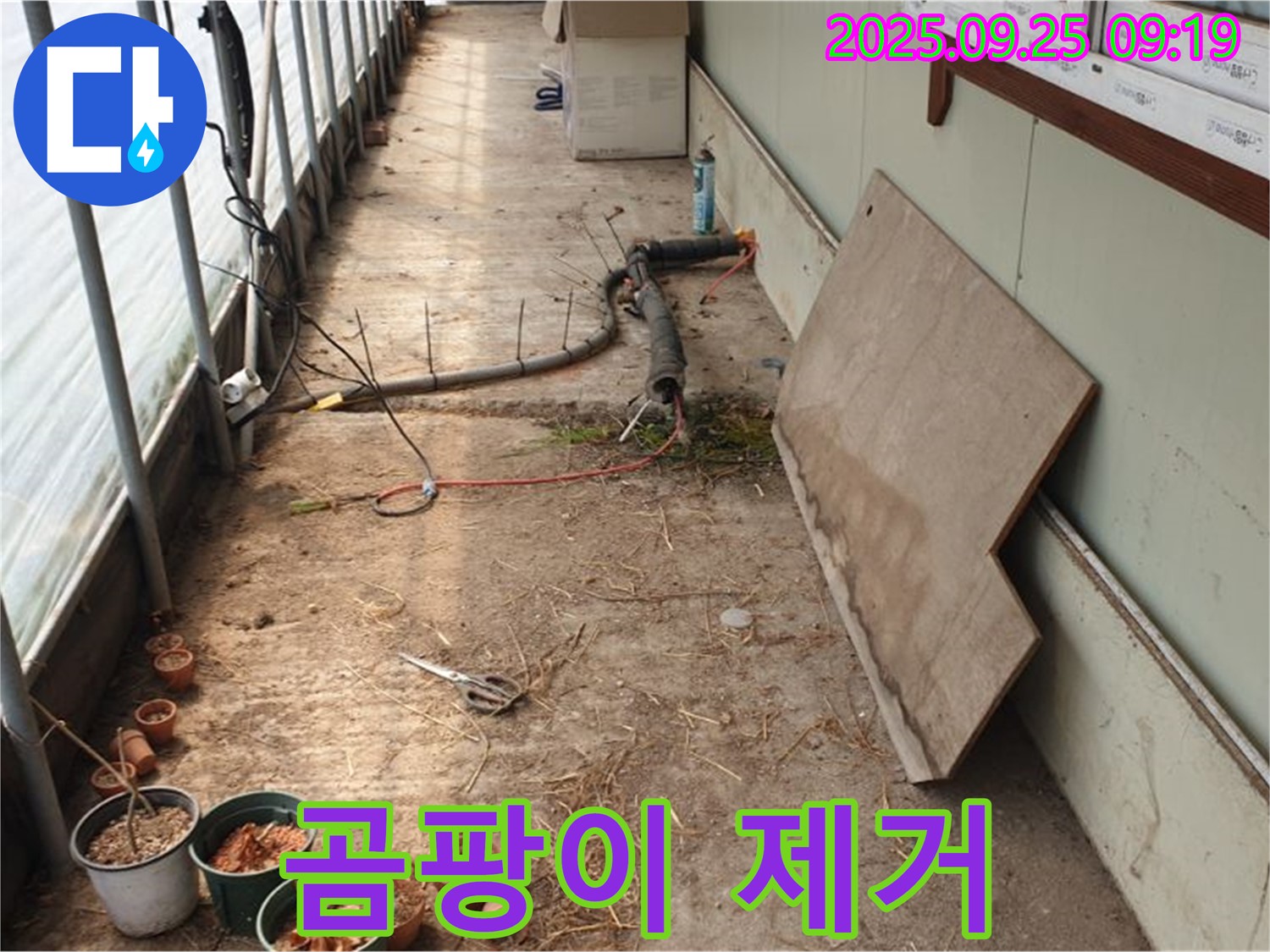 양주시 백석읍 복지리 - 농업용 하우스 누수, 습기로 인한 곰팡이 작물 생육 저해!