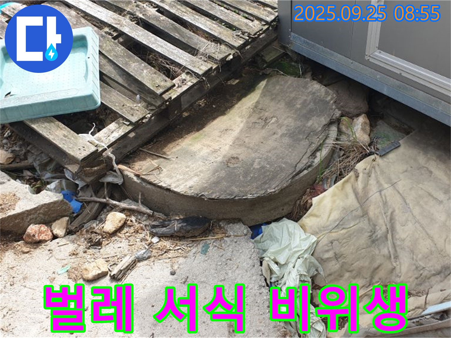 양주시 백석읍 복지리 누수 - 폐자재 속 벌레 서식