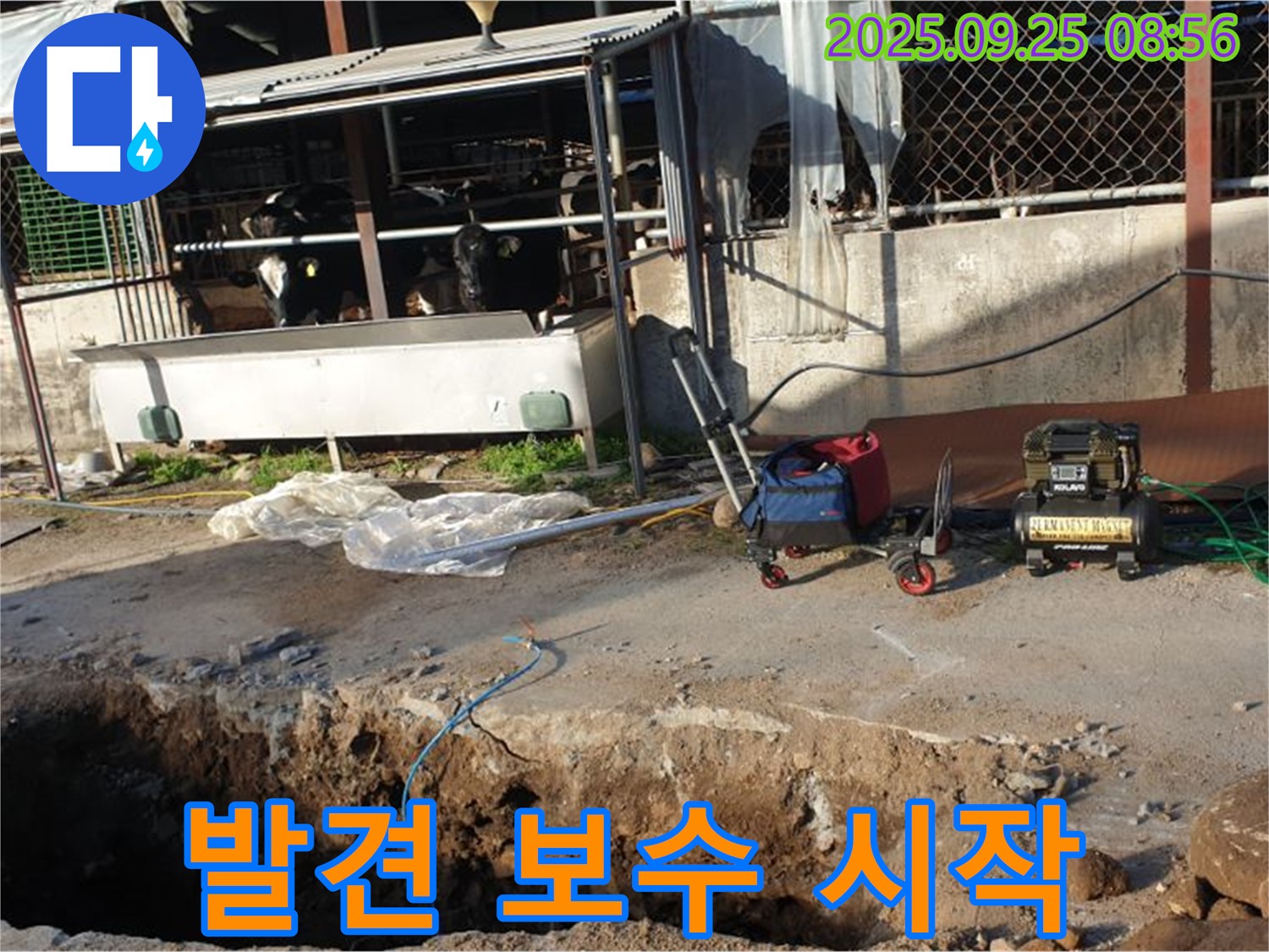 양주시 백석읍 복지리 축사 누수 - 누수 지점을 발견하고 신속하게 보수 작업을 시작하는 모습