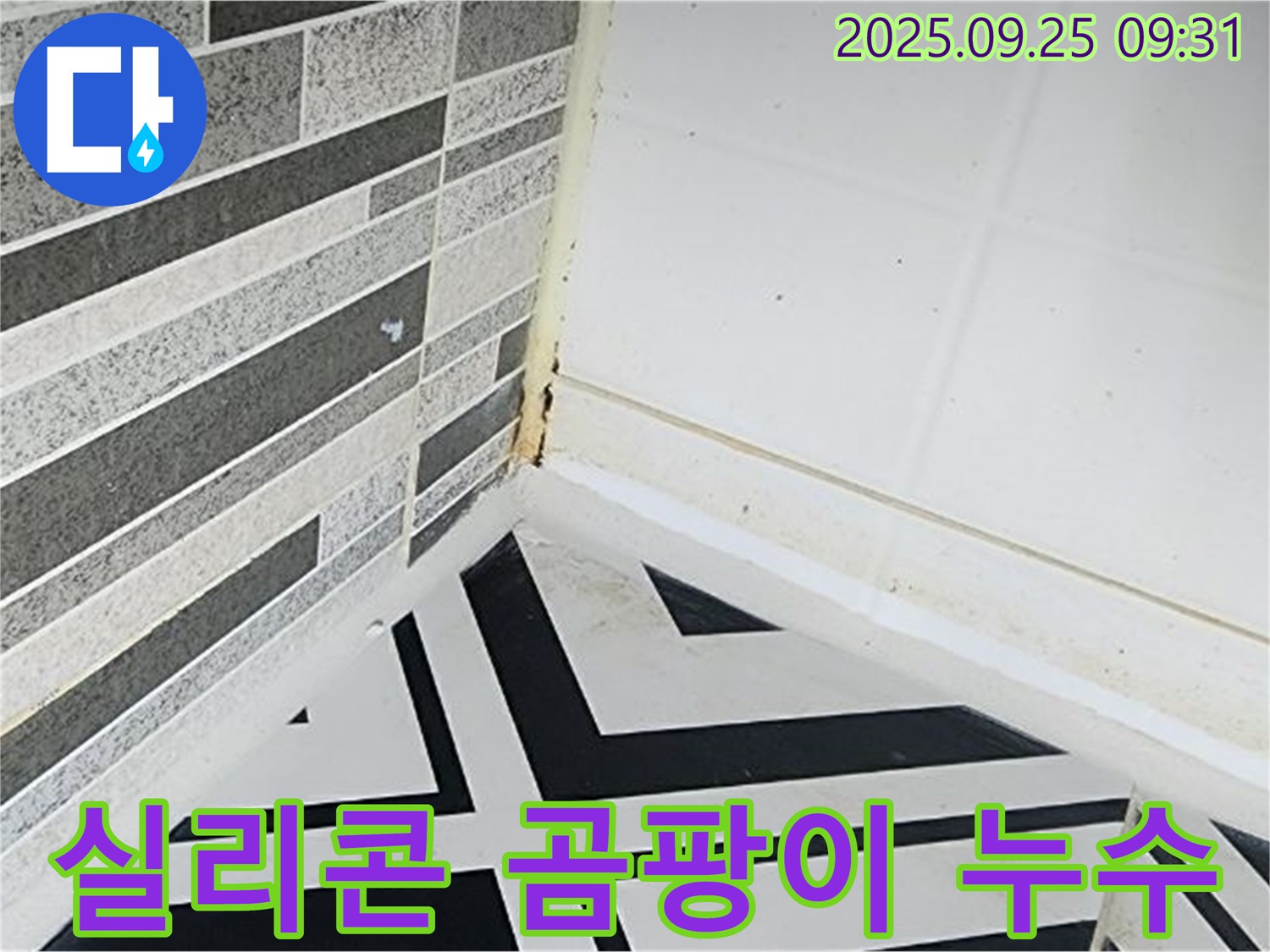 양주시 백석 - 욕실 실리콘에 곰팡이가 핀 모습 - 틈새를 파고드는 곰팡이