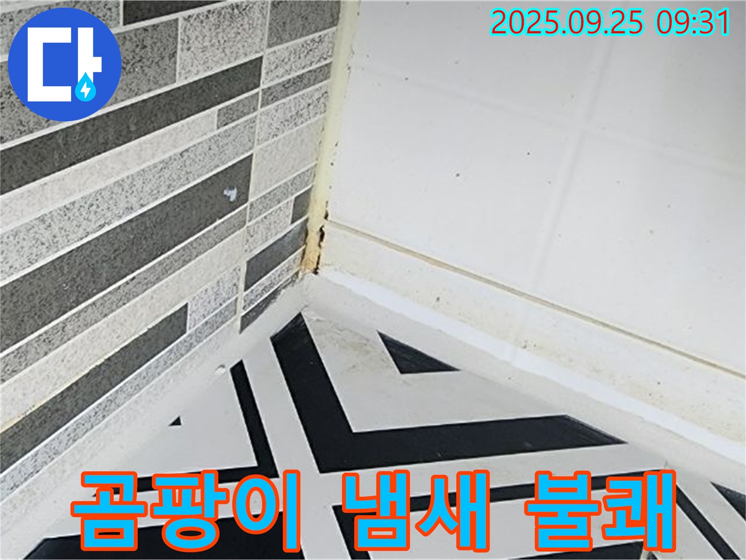 양주시 백석읍 오산리 - 곰팡이 냄새로 인해 불쾌감을 느끼는 모습 - 불쾌지수 상승