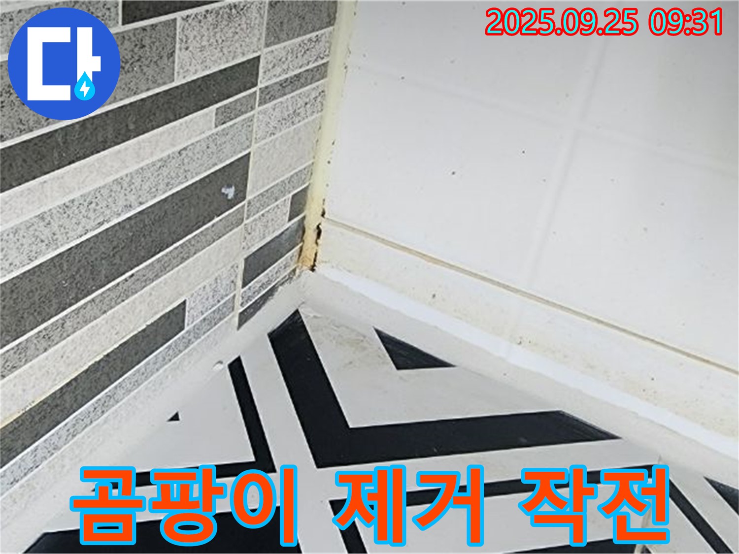 양주시 백석읍 오산리 - 곰팡이 제거 장비를 들고 작전을 수행하는 듯한 모습 - 곰팡이 제거 작전 개시