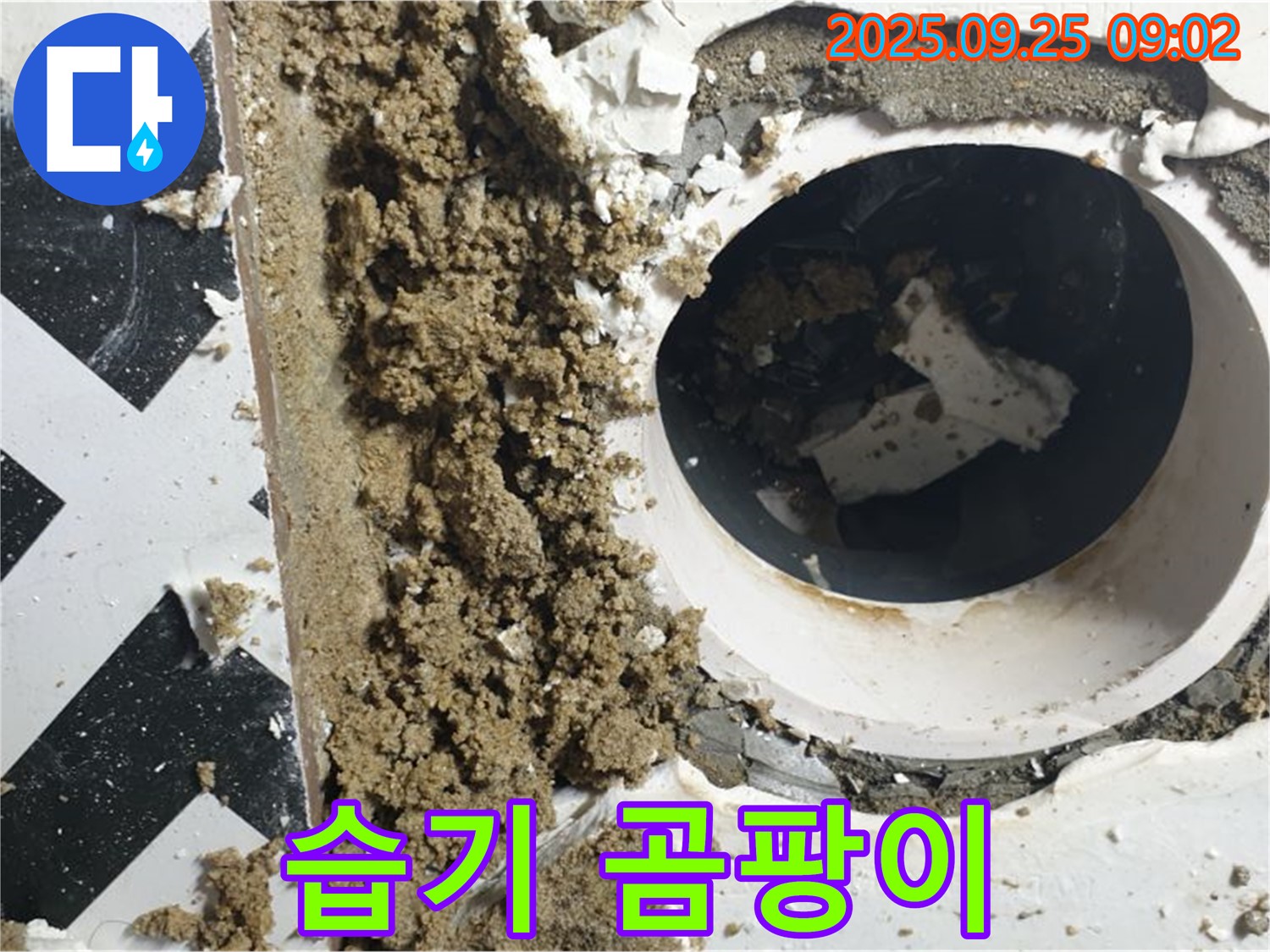 양주시 백석읍 오산리 누수 현장 - 누수 부위 주변 벽면 습기 및 곰팡이 발생 확인.