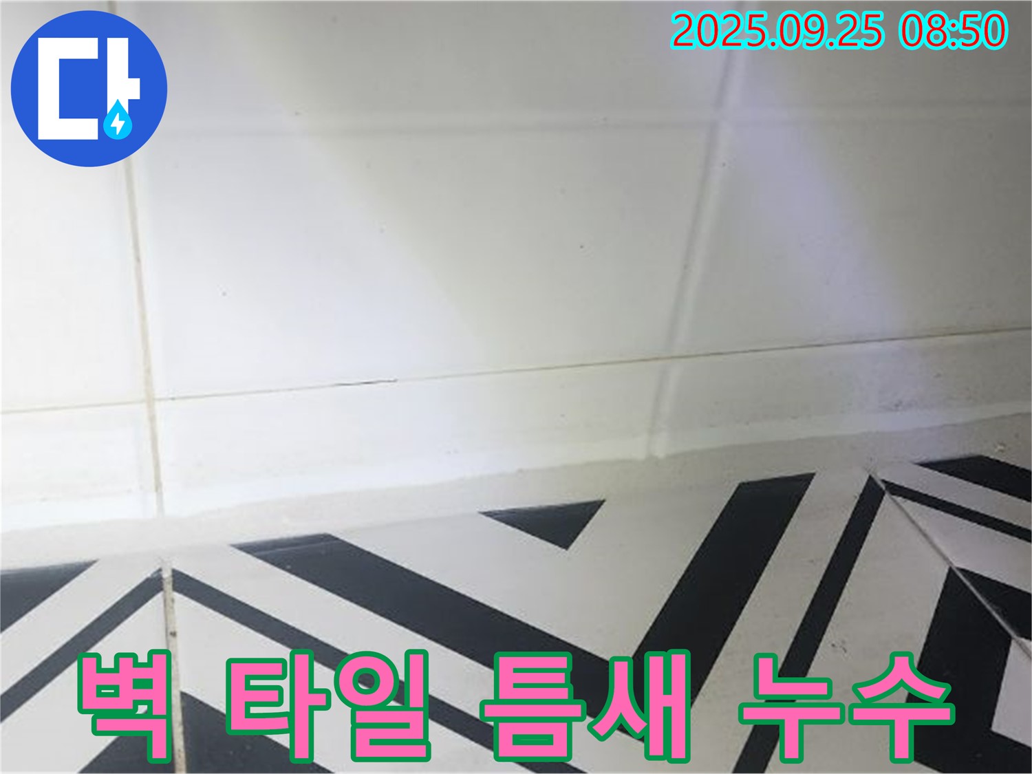 양주시 백석읍 오산리 벽 타일 틈새 누수 - 누수탐지부터 완벽 시공까지!
