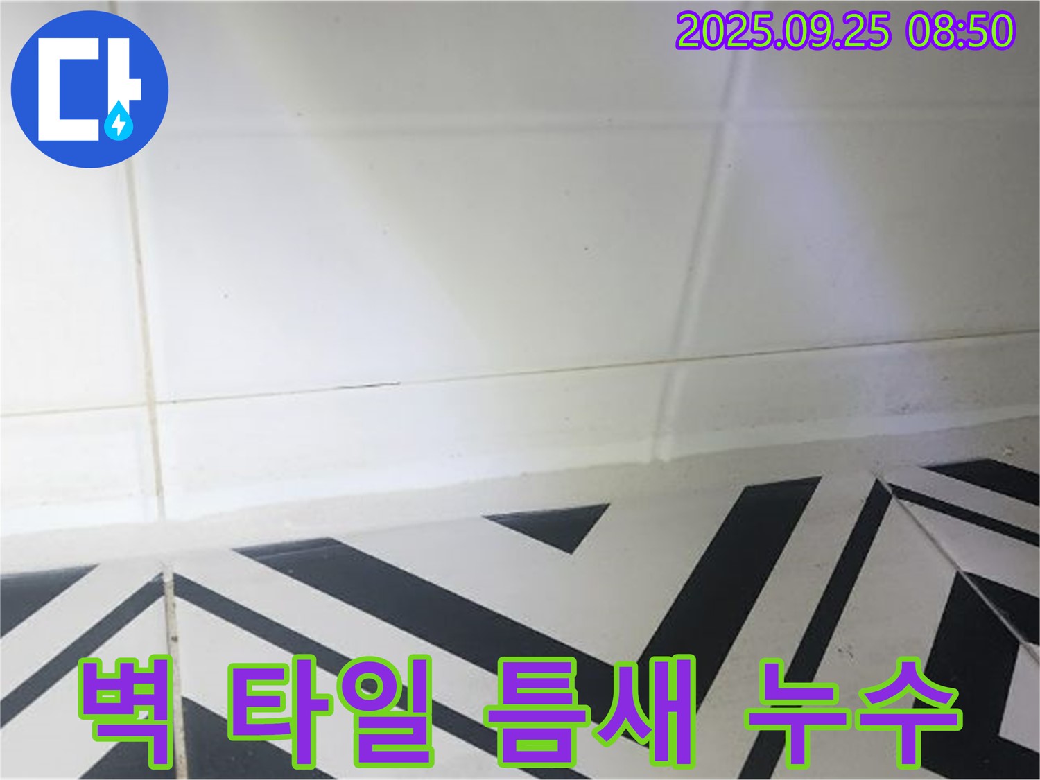 양주시 백석읍 오산리 벽 타일 틈새 누수 - 누수탐지부터 완벽 시공까지!